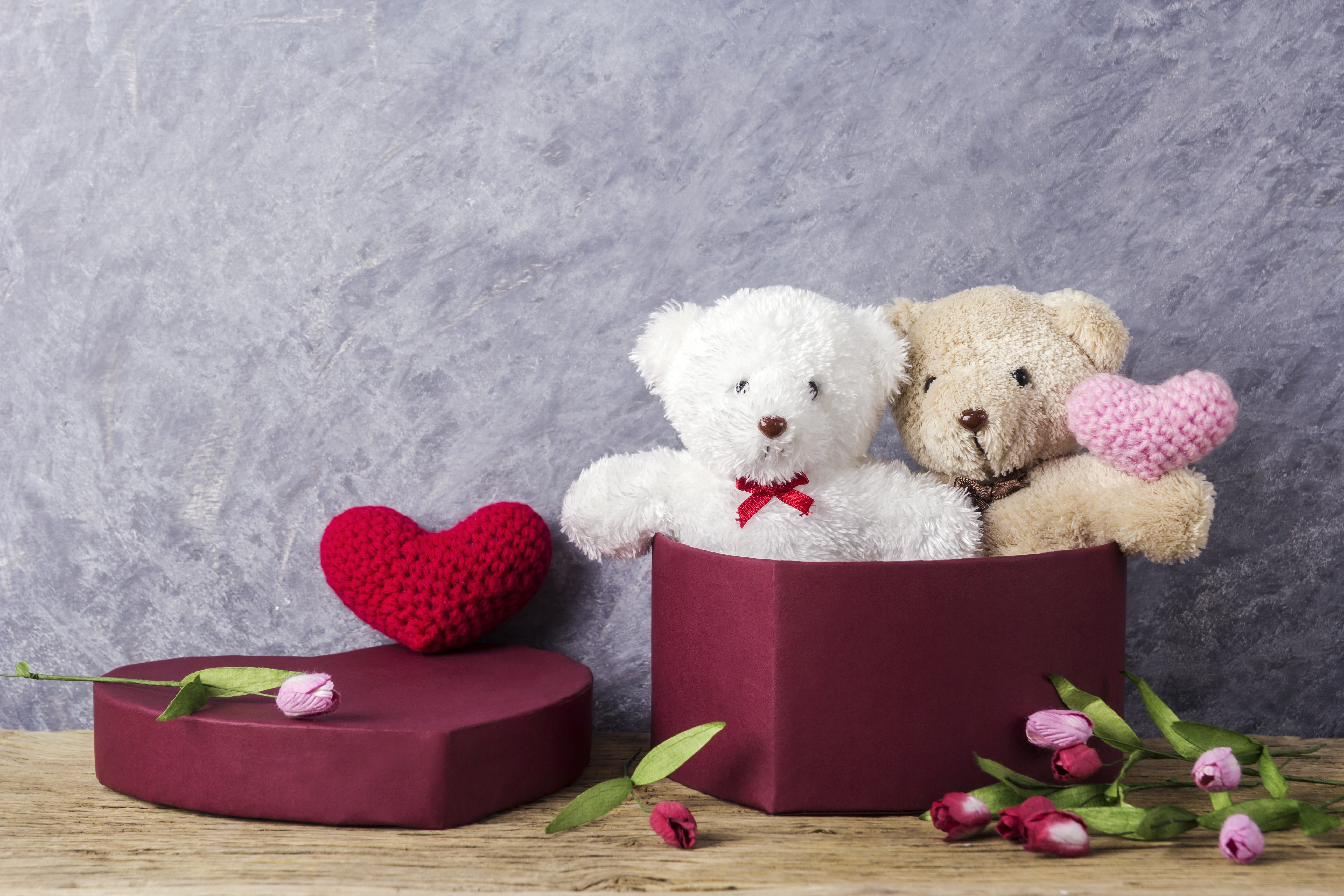 Handy-Wallpaper Feiertage, Liebe, Valentinstag, Teddybär, Blume, Geschenk, Herz, Stillleben kostenlos herunterladen.
