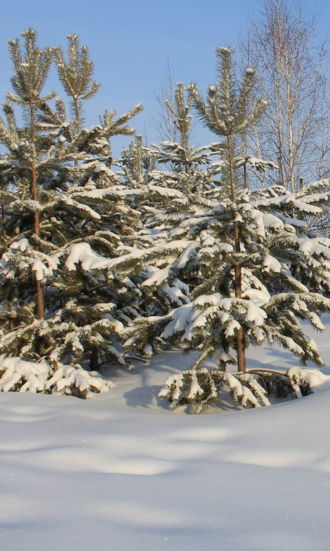 Handy-Wallpaper Winter, Erde/natur kostenlos herunterladen.