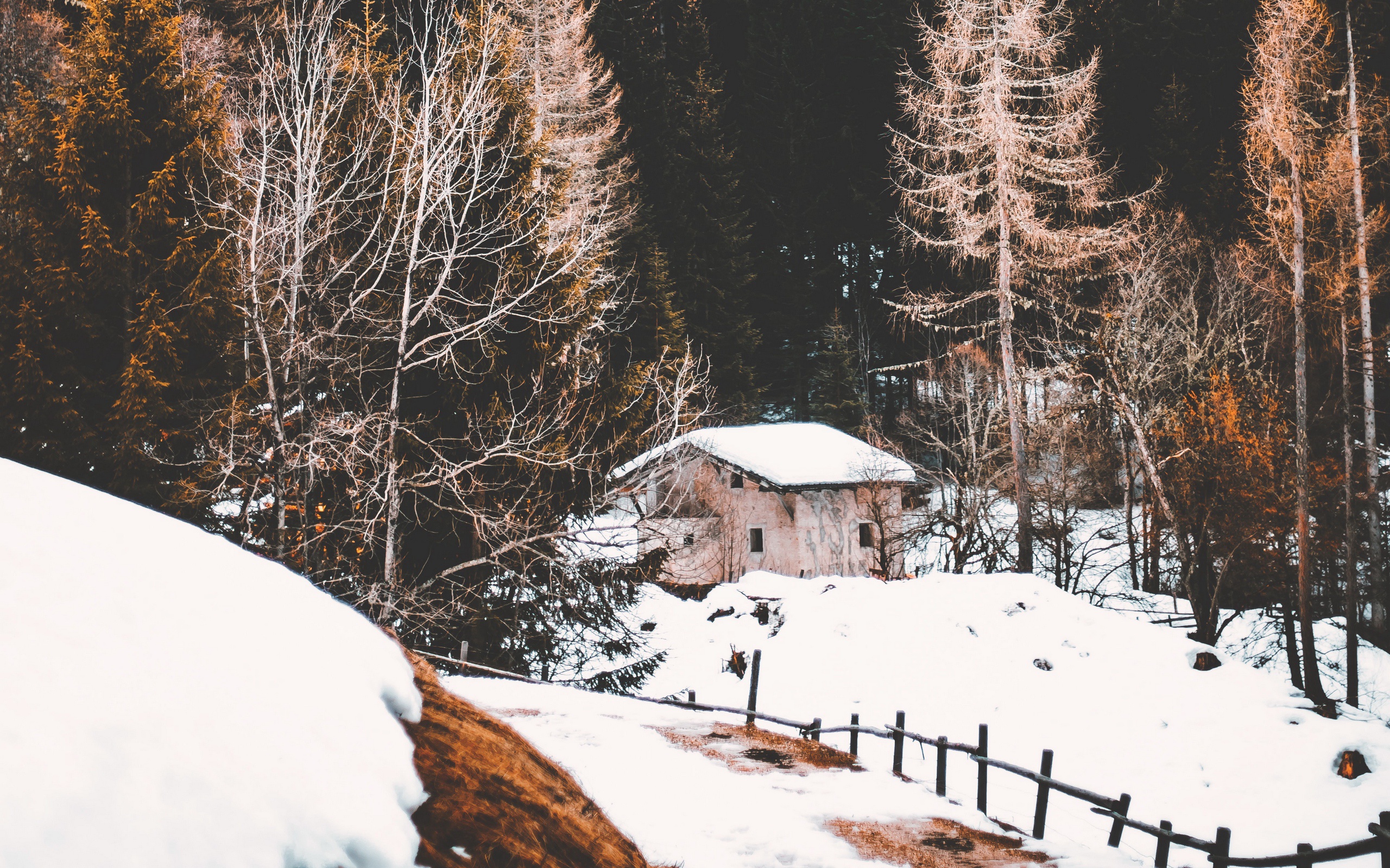 Download mobile wallpaper Landscape, Snow, Forest, Tree, House, Fence, Photography for free.