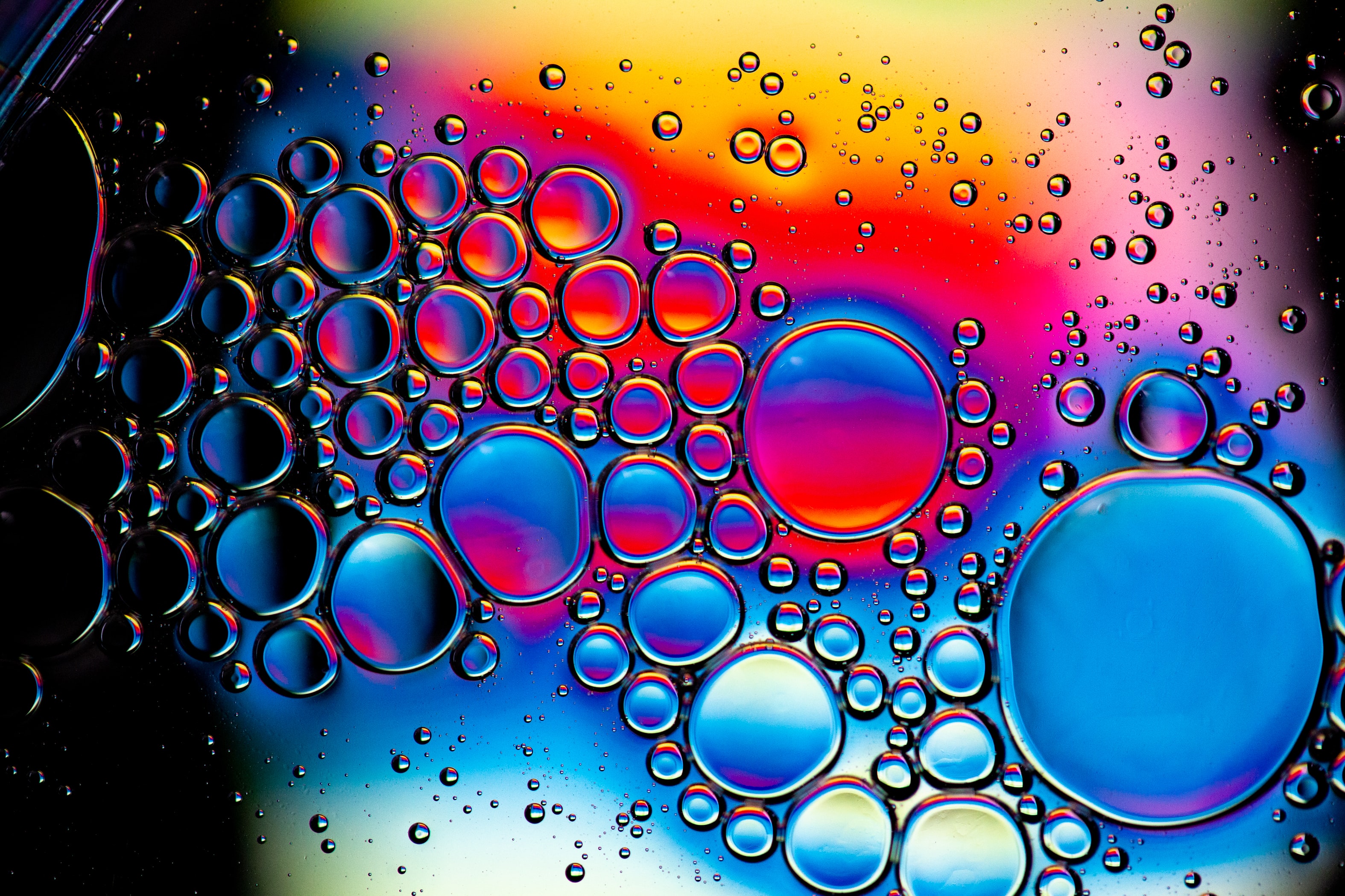 bubbles, abstract, form, water
