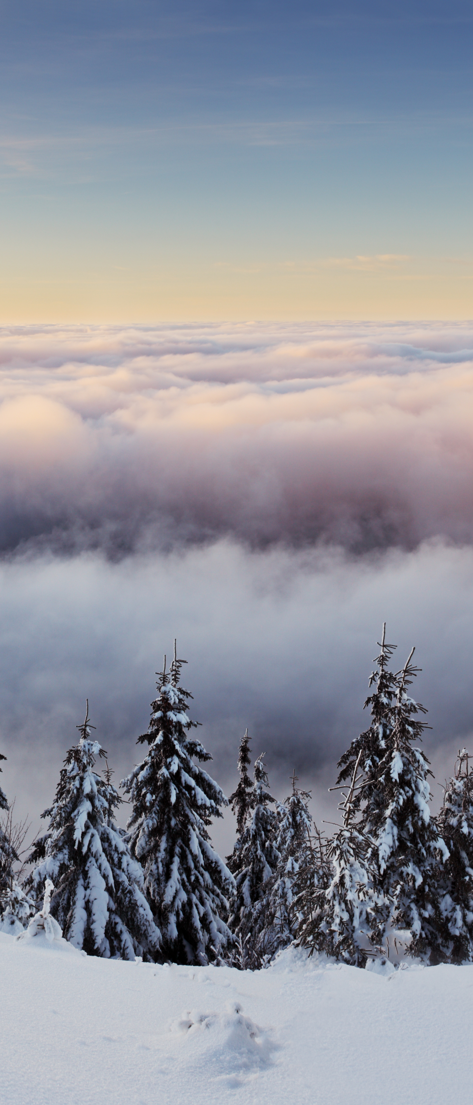 Download mobile wallpaper Landscape, Nature, Horizon, Fog, Earth, Sea Of Clouds for free.