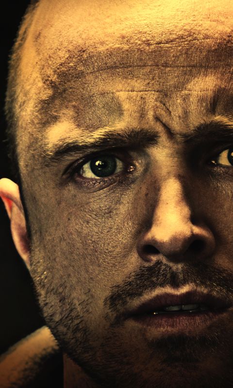 Download mobile wallpaper Breaking Bad, Tv Show, Jesse Pinkman, Aaron Paul for free.