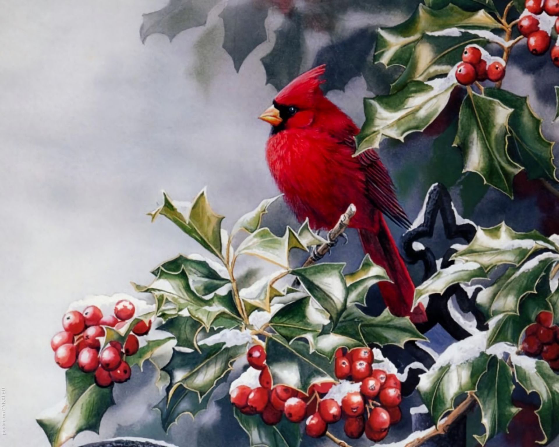 Free download wallpaper Winter, Birds, Bird, Leaf, Branch, Berry, Animal, Cardinal on your PC desktop