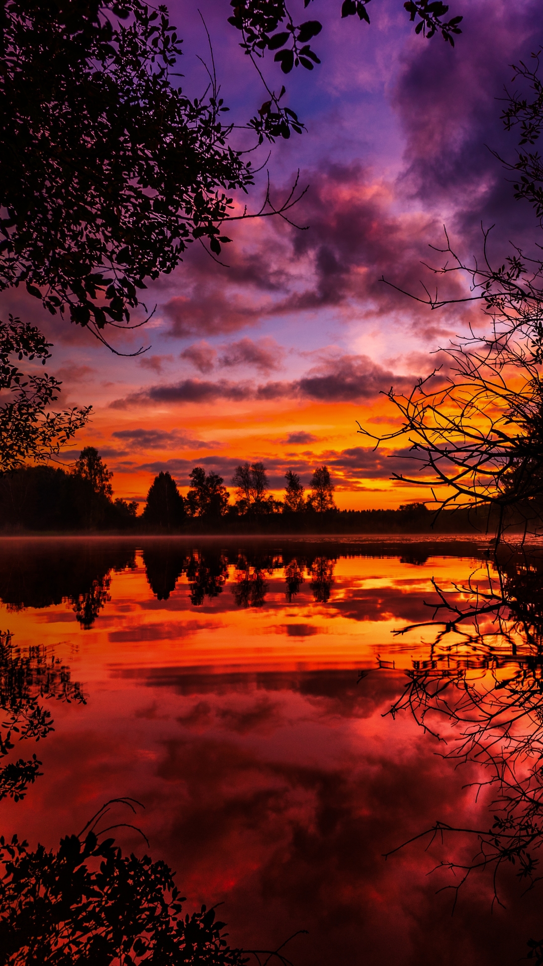 Descarga gratuita de fondo de pantalla para móvil de Amanecer, Lago, Árbol, Tierra/naturaleza.