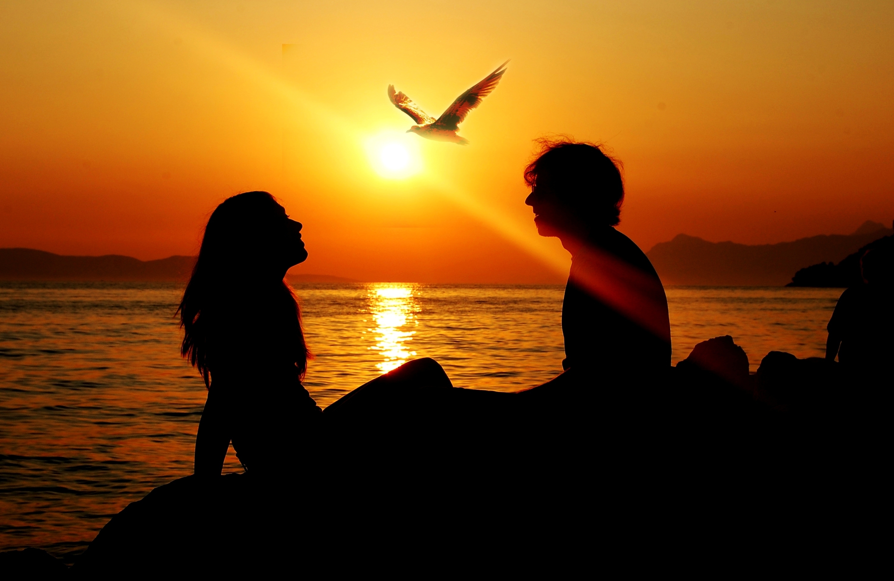 Download mobile wallpaper Sea, Sunset, Pair, Birds, Couple, Love for free.