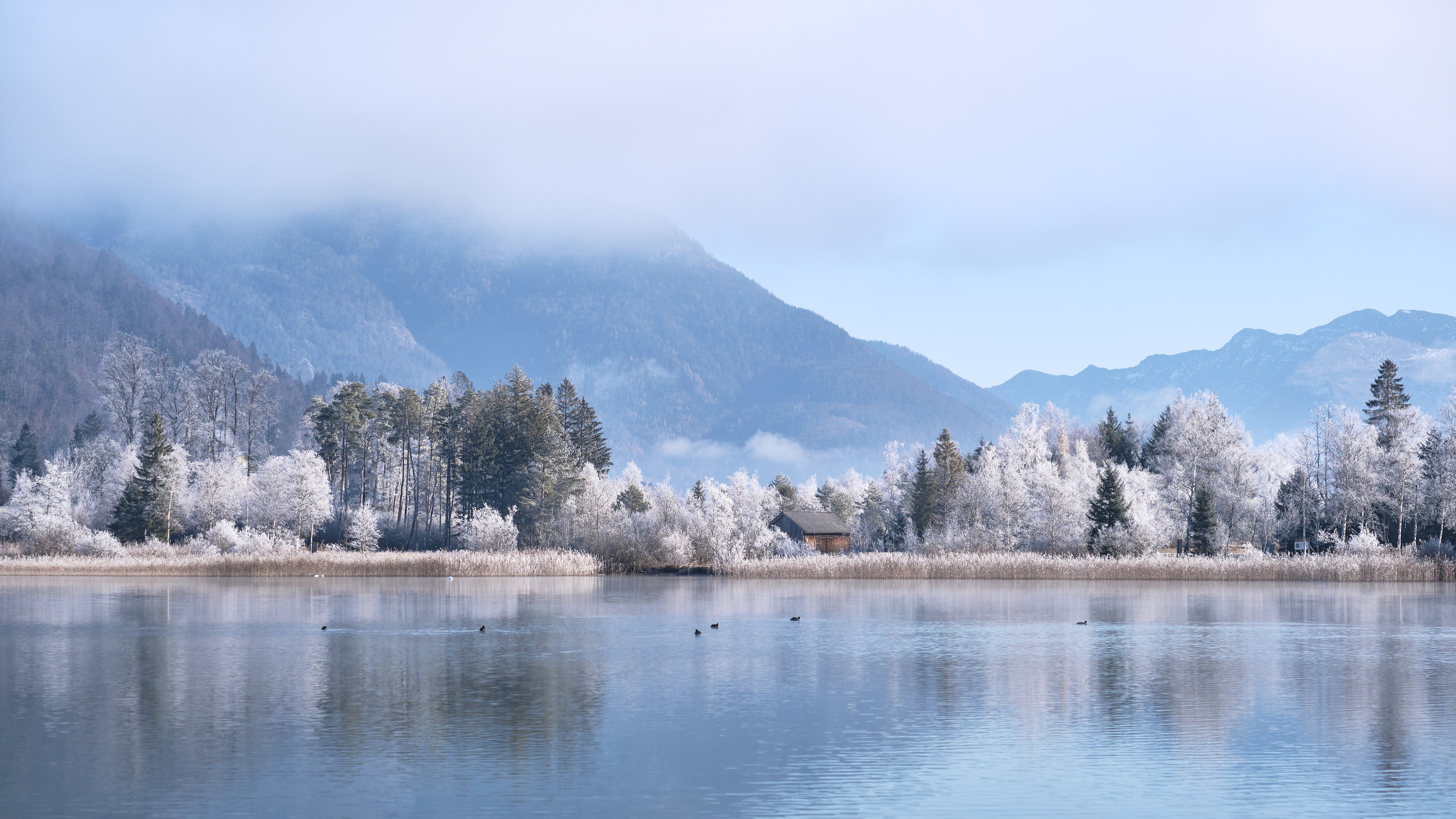 Free download wallpaper Winter, Nature, Mountains, Lake, Trees, Lodge, Small House on your PC desktop