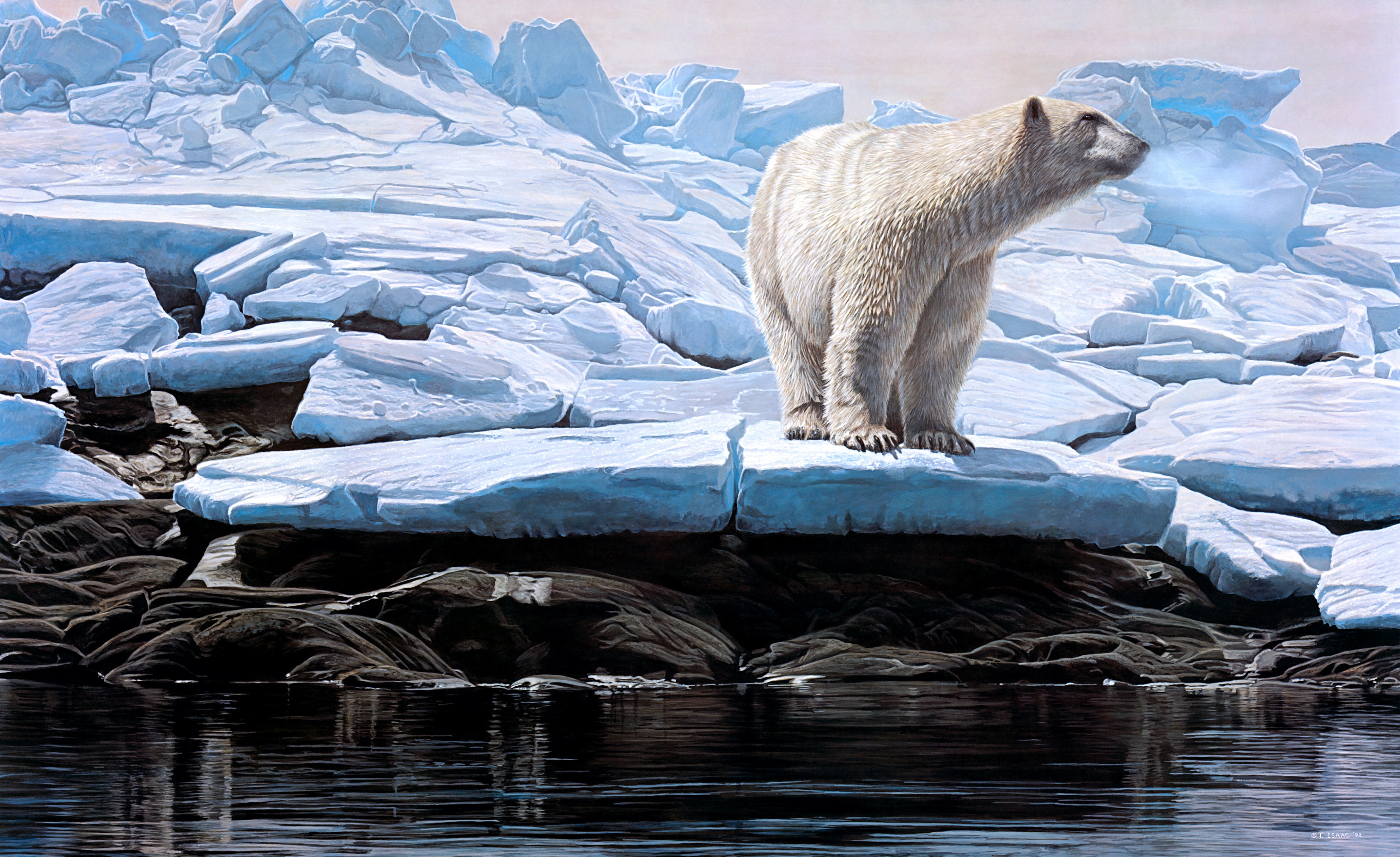 Download mobile wallpaper Winter, Ice, Bears, Bear, Animal, Polar Bear for free.
