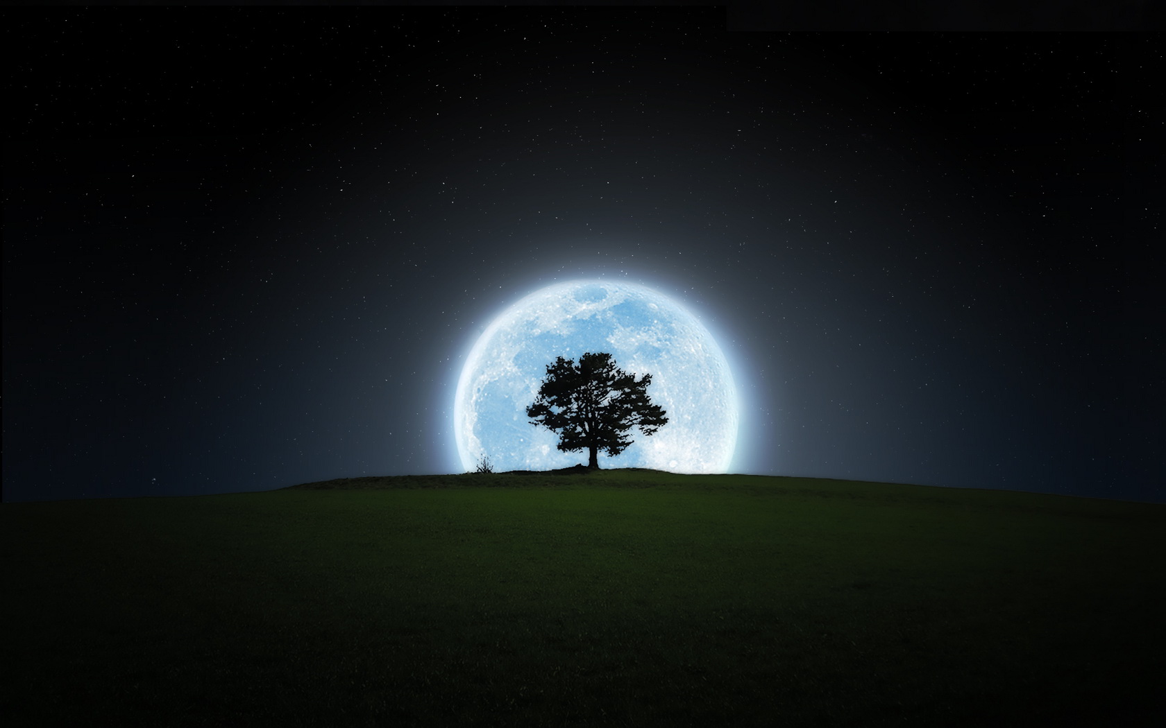 Download mobile wallpaper Tree, Earth for free.