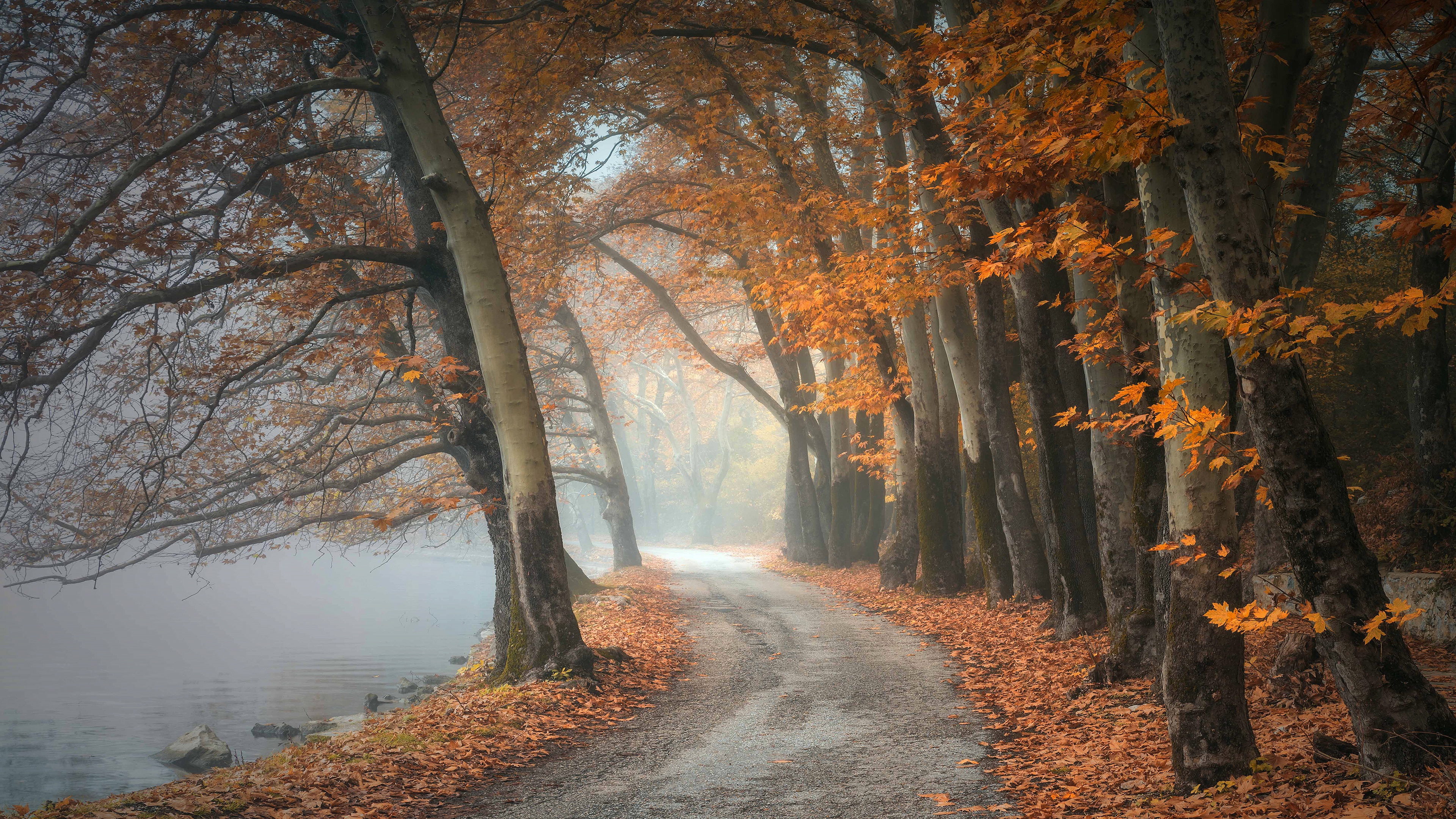 Download mobile wallpaper Lake, Forest, Fog, Fall, Path, Photography for free.