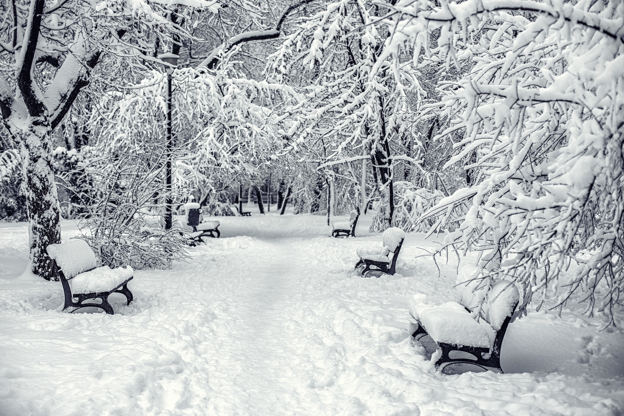 Download mobile wallpaper Winter, Snow, Park, Bench, Photography for free.