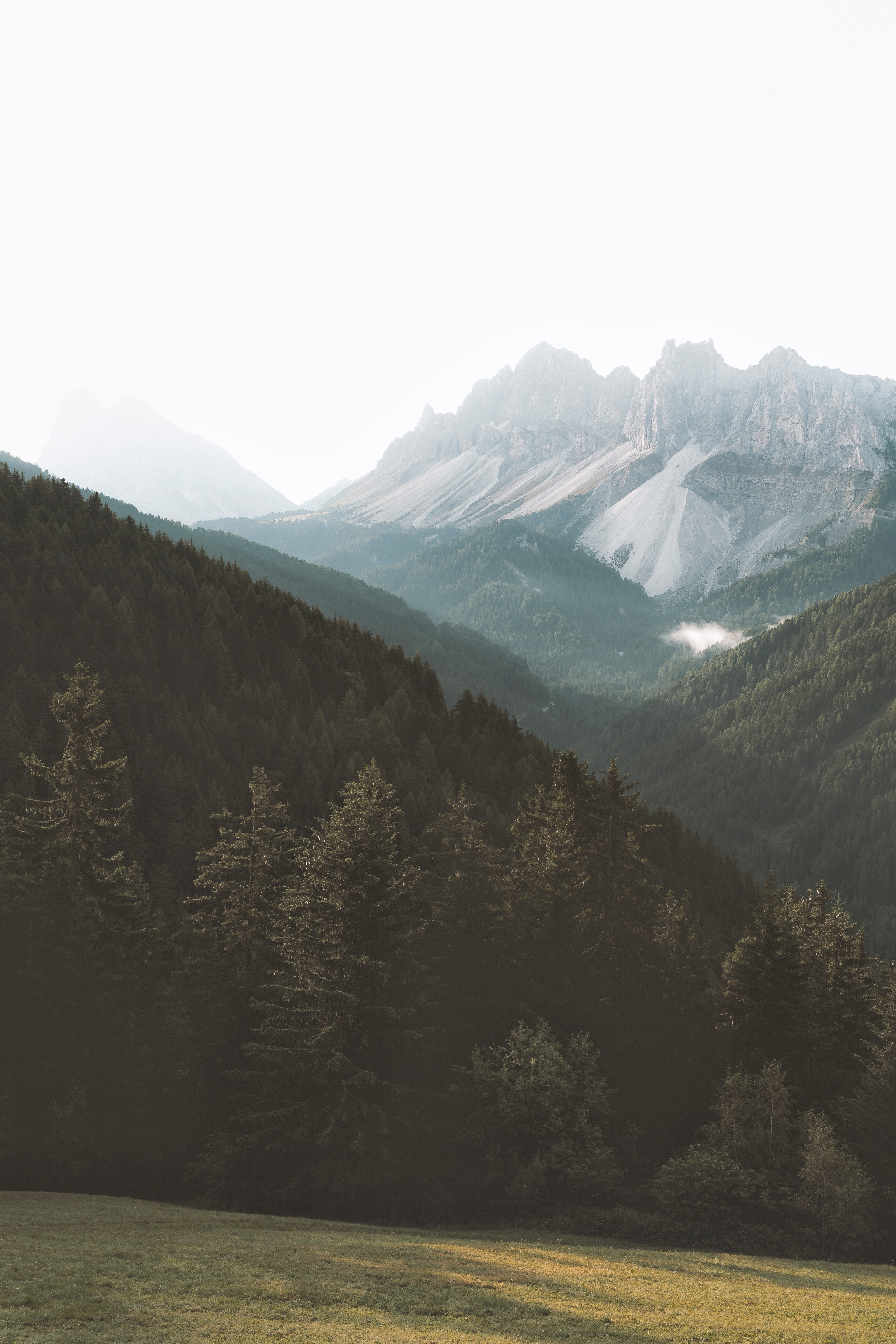 Download mobile wallpaper Fog, Slopes, Trees, Forest, Mountains, Nature for free.
