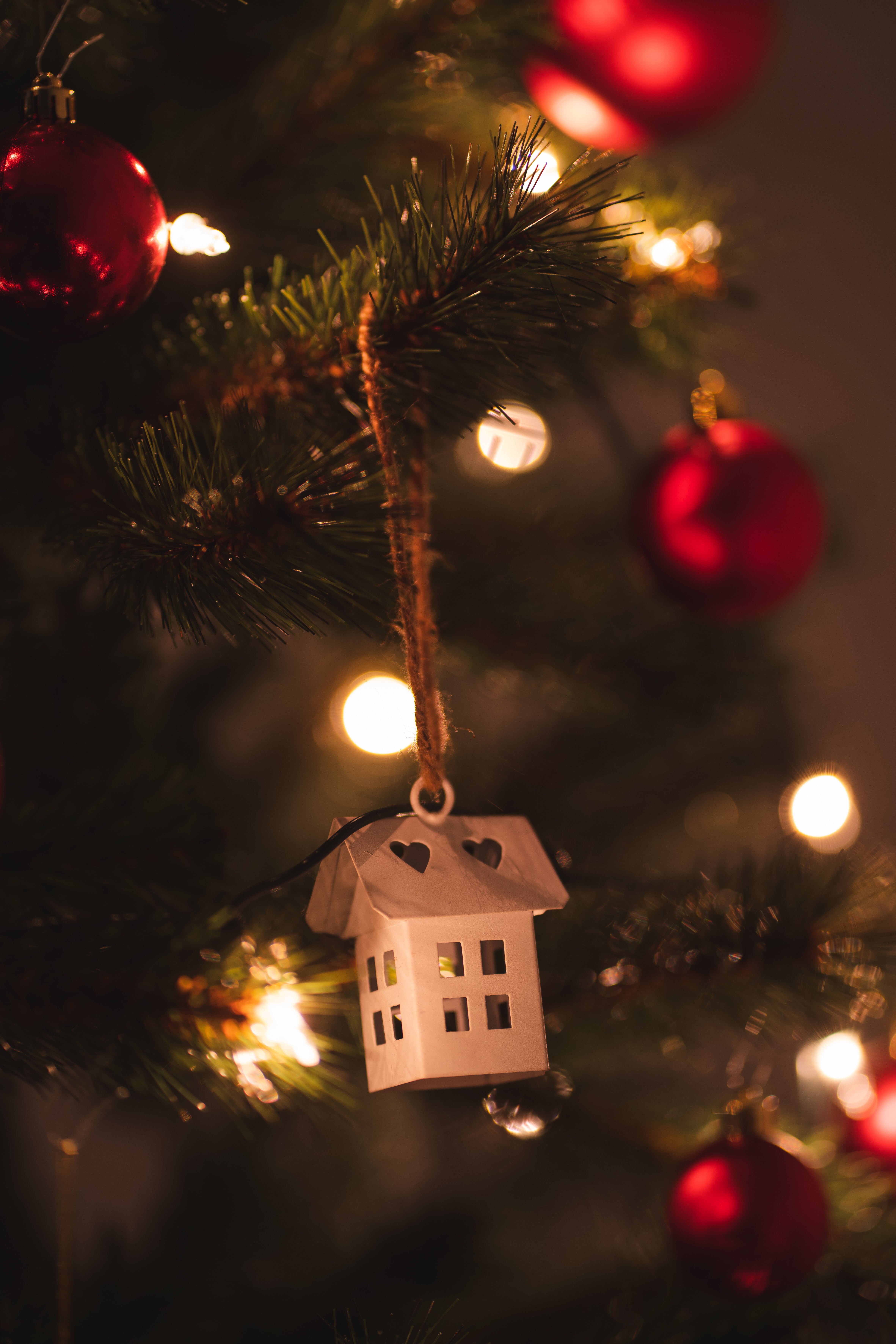 HD wallpaper christmas, lodge, holidays, new year, small house, christmas tree, garland, decoration, garlands