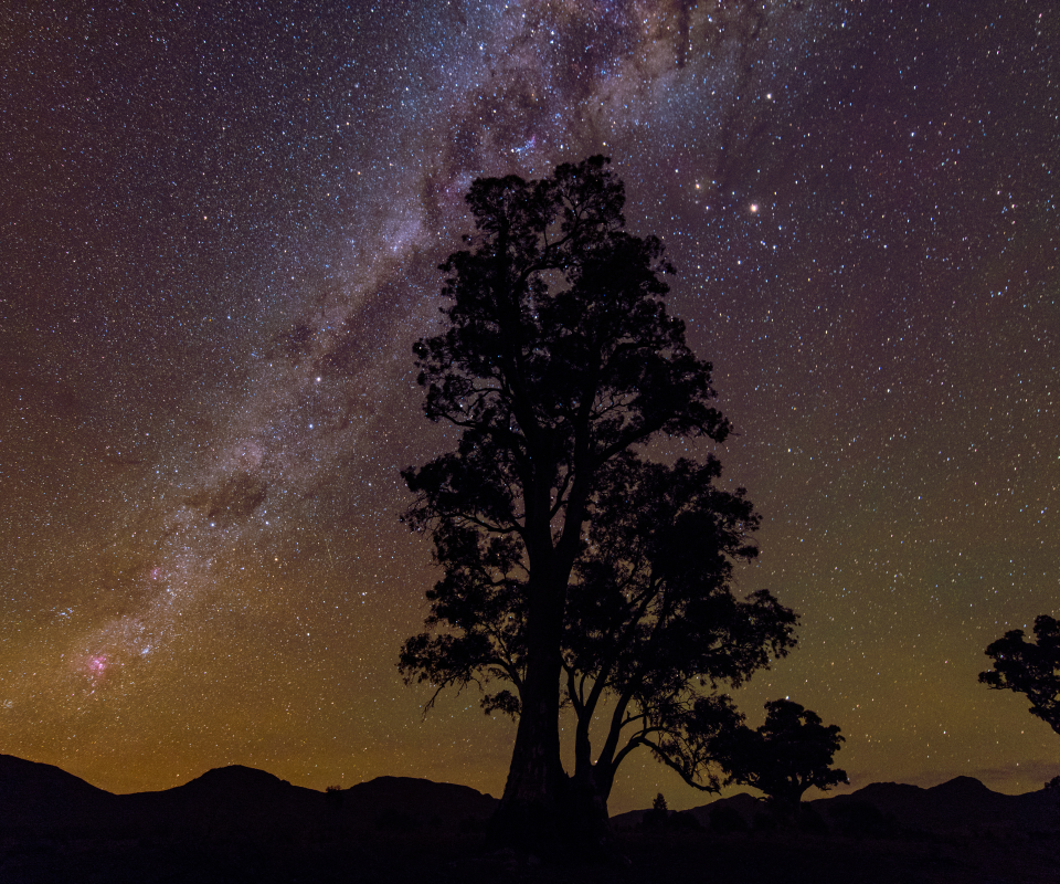 Download mobile wallpaper Trees, Stars, Night, Silhouette, Tree, Earth, Milky Way for free.