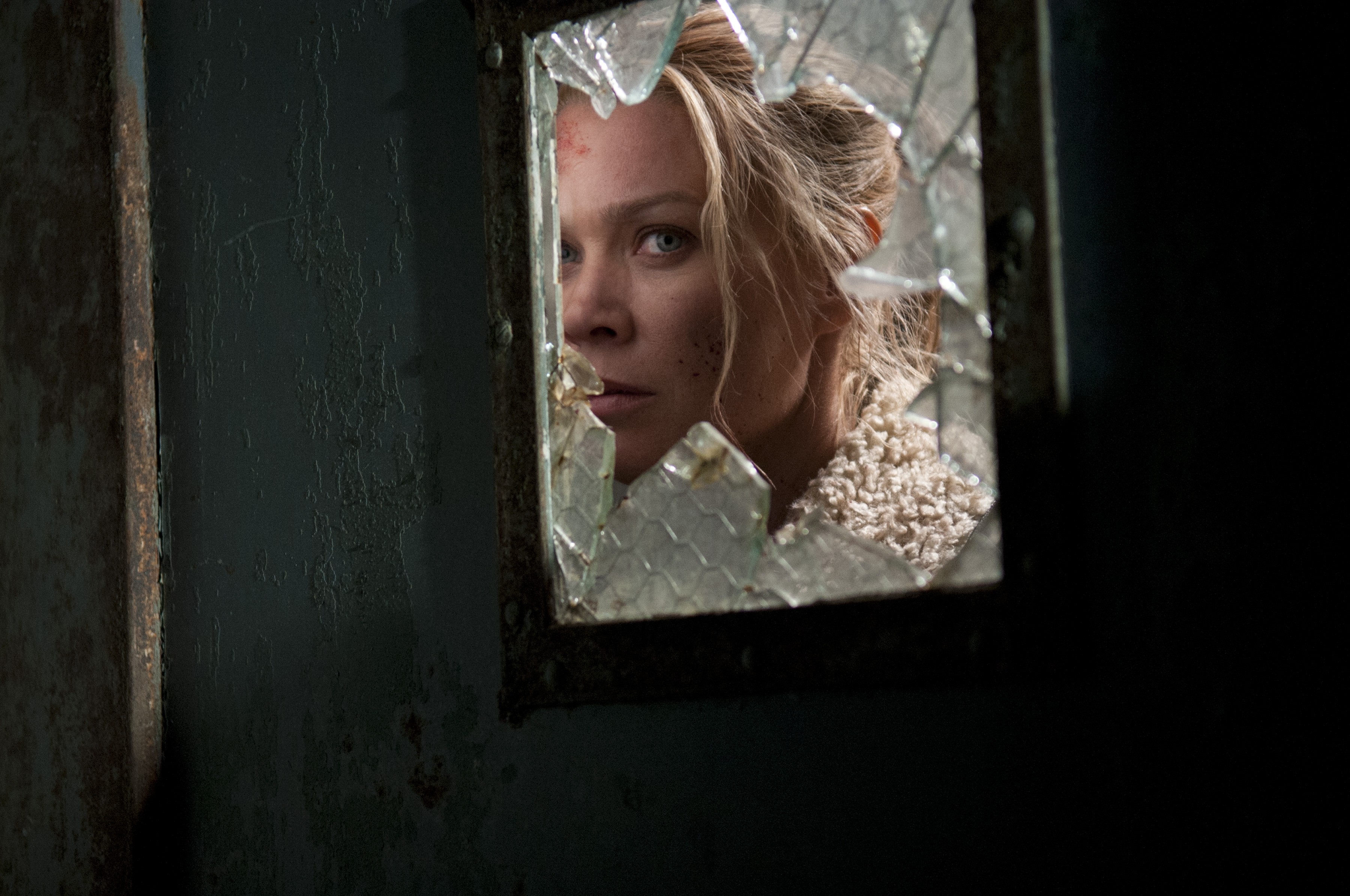the walking dead, tv show, andrea (the walking dead), laurie holden