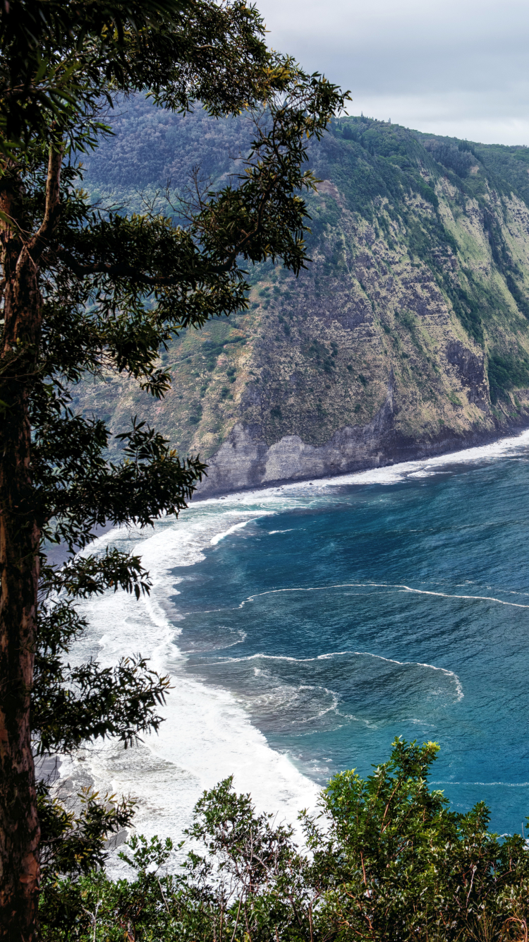 Download mobile wallpaper Sea, Ocean, Earth, California, Coastline for free.