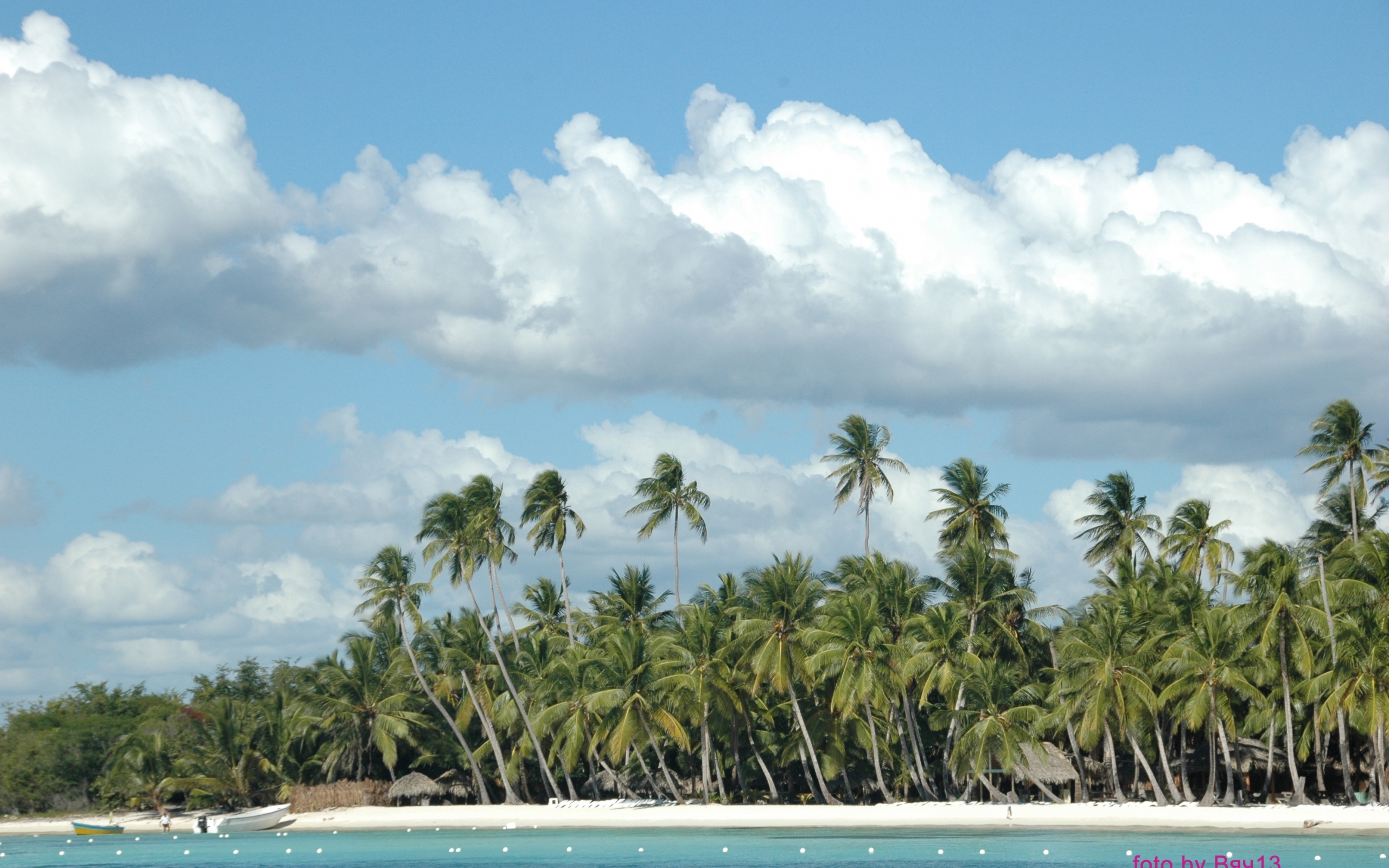 Download mobile wallpaper Sky, Landscape, Palms for free.