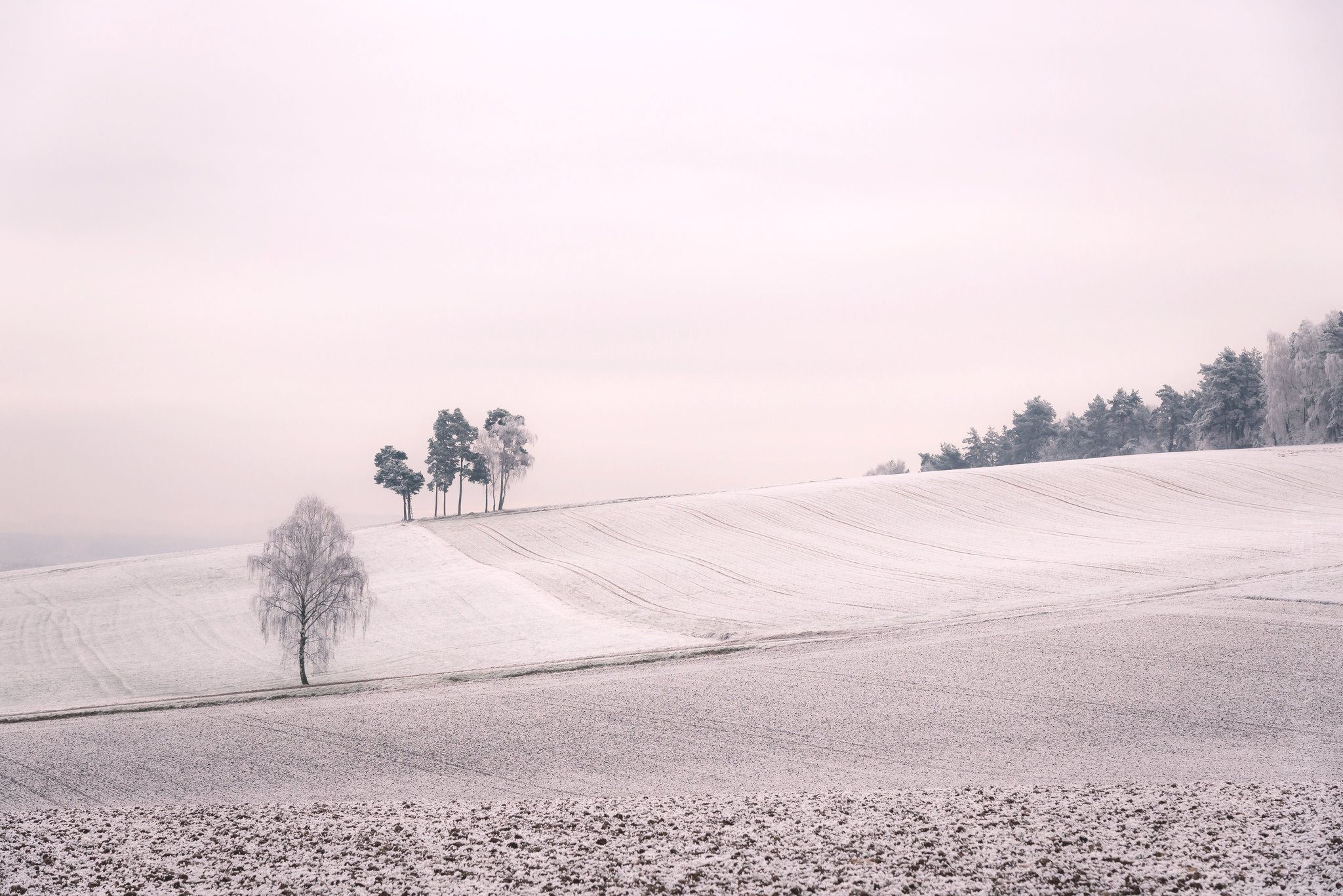 Download mobile wallpaper Winter, Nature, Earth, Field for free.