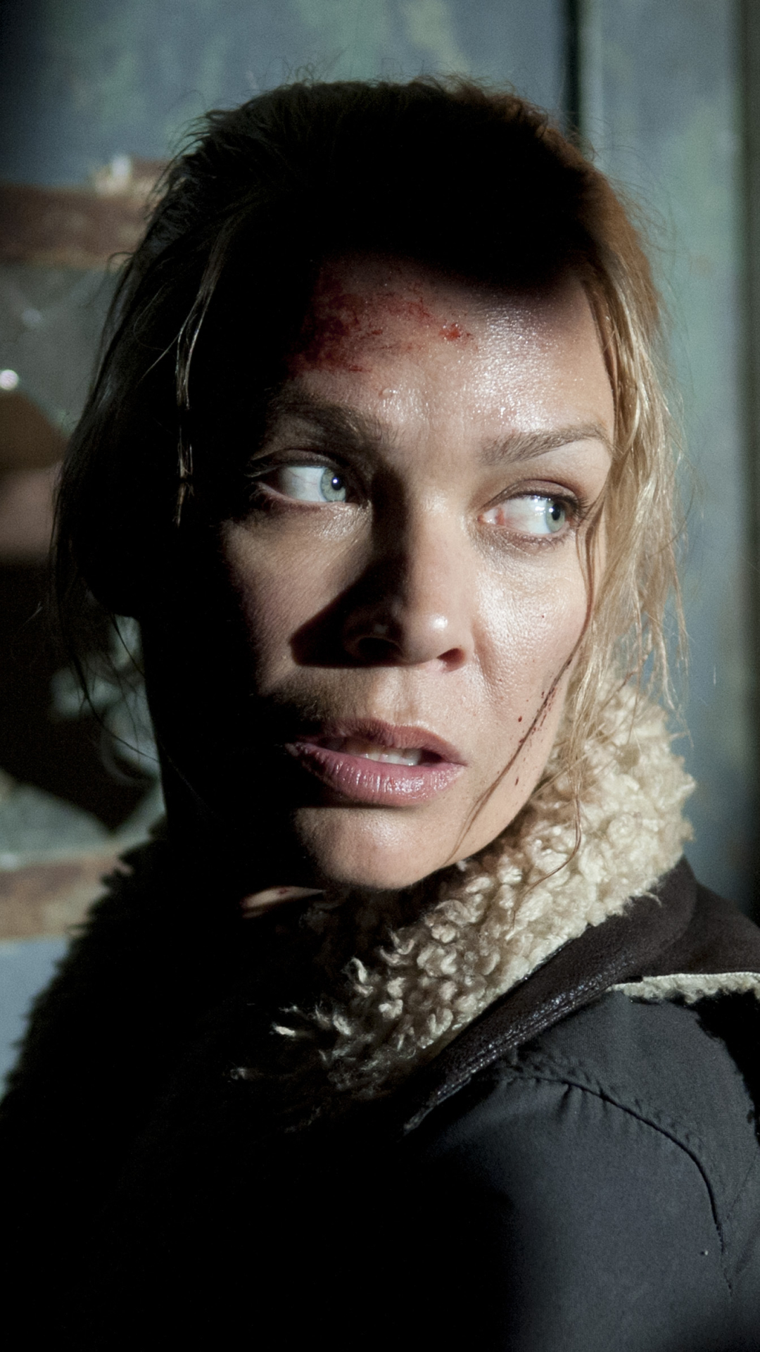 tv show, the walking dead, laurie holden, andrea (the walking dead)