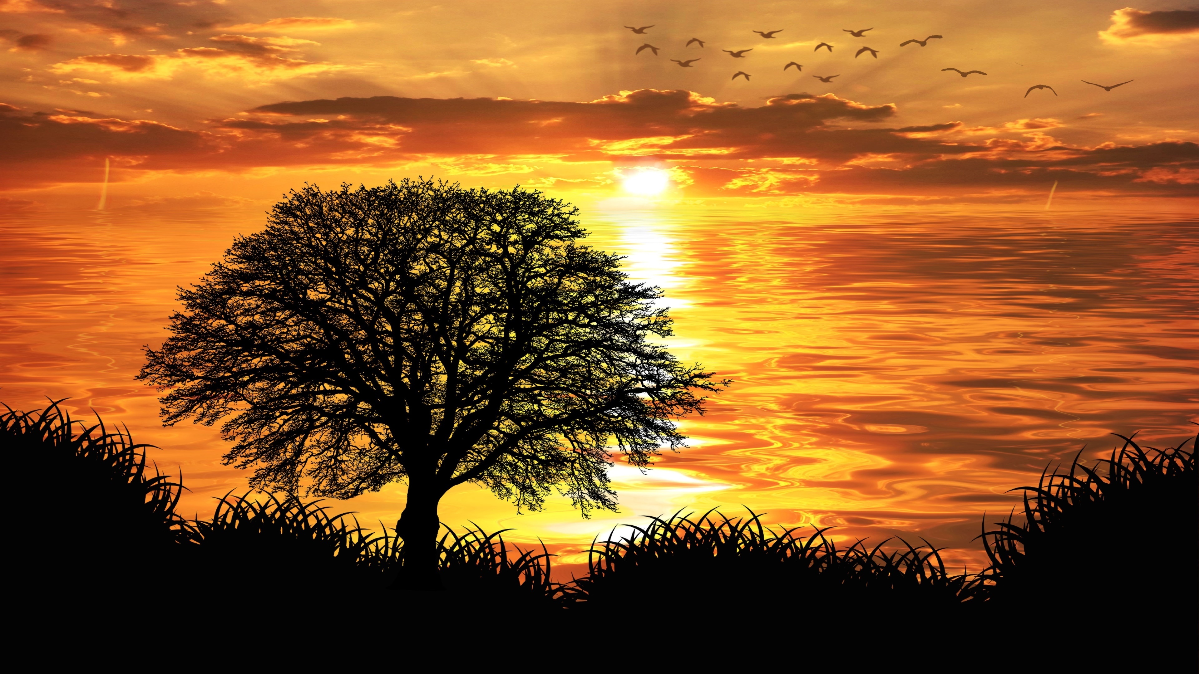 Free download wallpaper Sunset, Lake, Tree, Earth, Artistic on your PC desktop