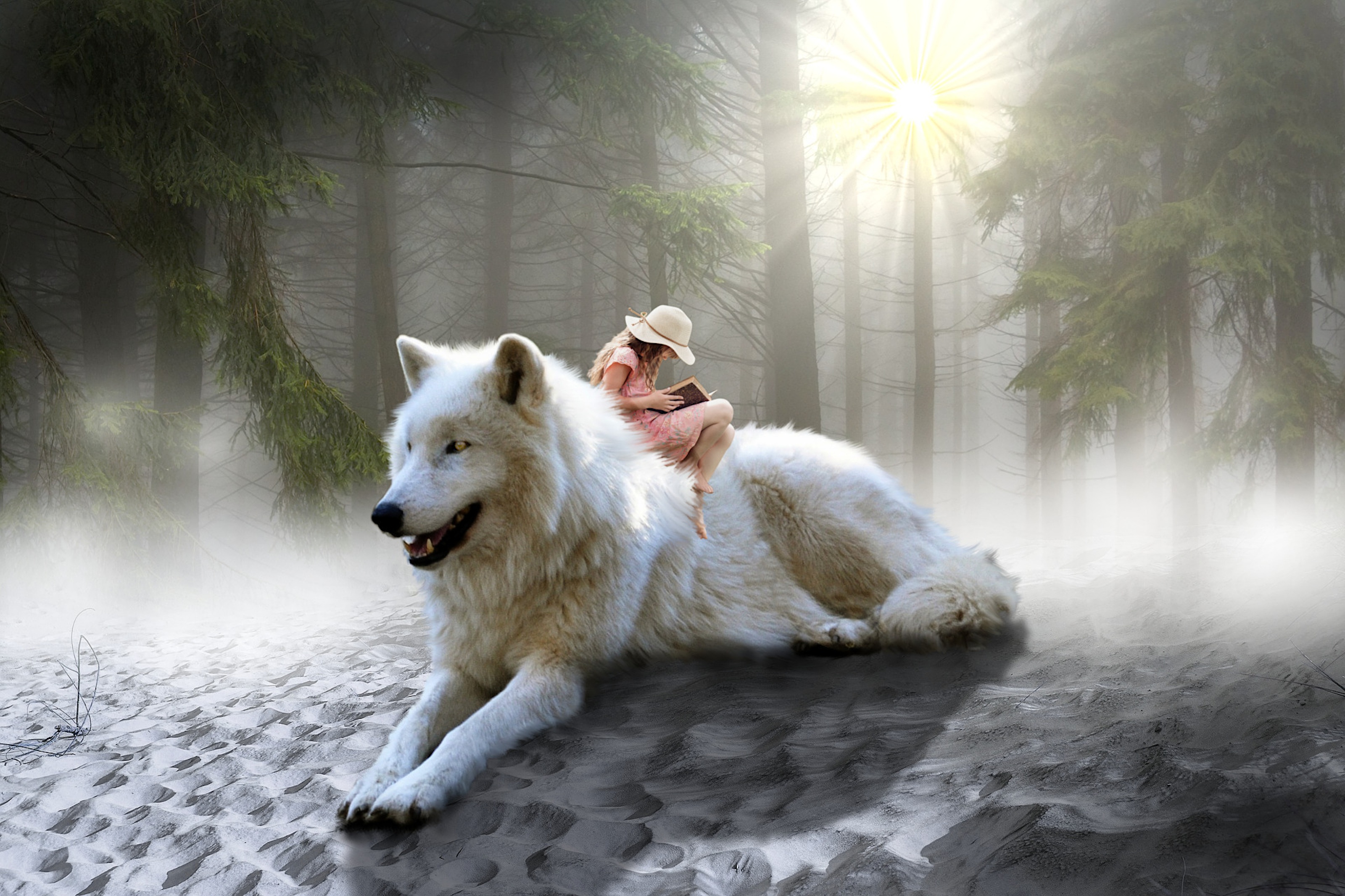PCデスクトップに芸術的, 女性, 白いオオカミ画像を無料でダウンロード