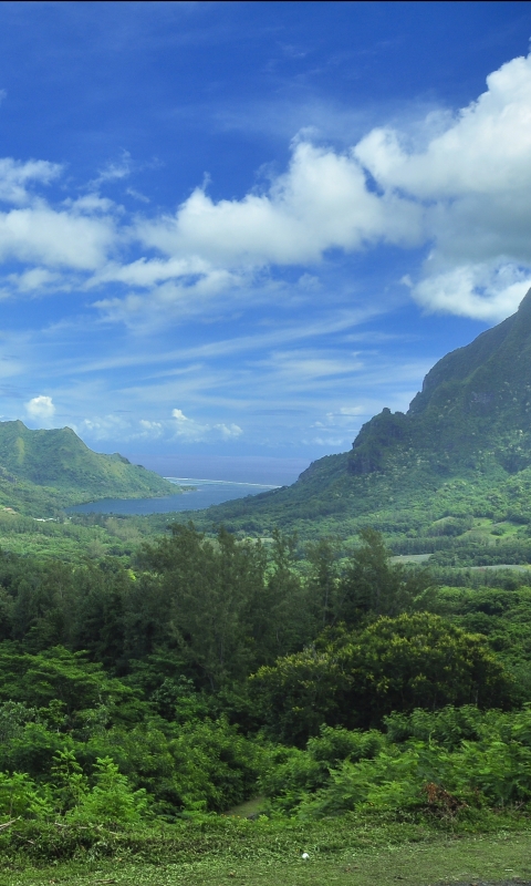 Скачать картинку Пейзаж, Тропики, Остров, Французская Полинезия, Земля/природа, Таити, Муреа в телефон бесплатно.