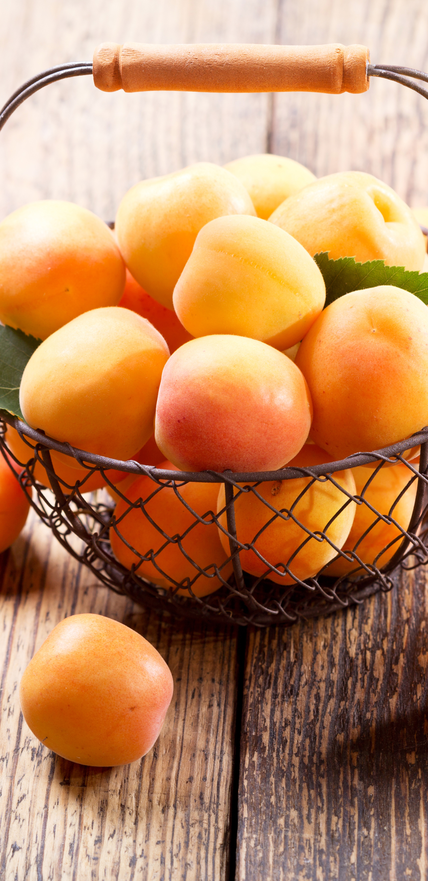 Téléchargez des papiers peints mobile Nourriture, Fruit, Abricot gratuitement.