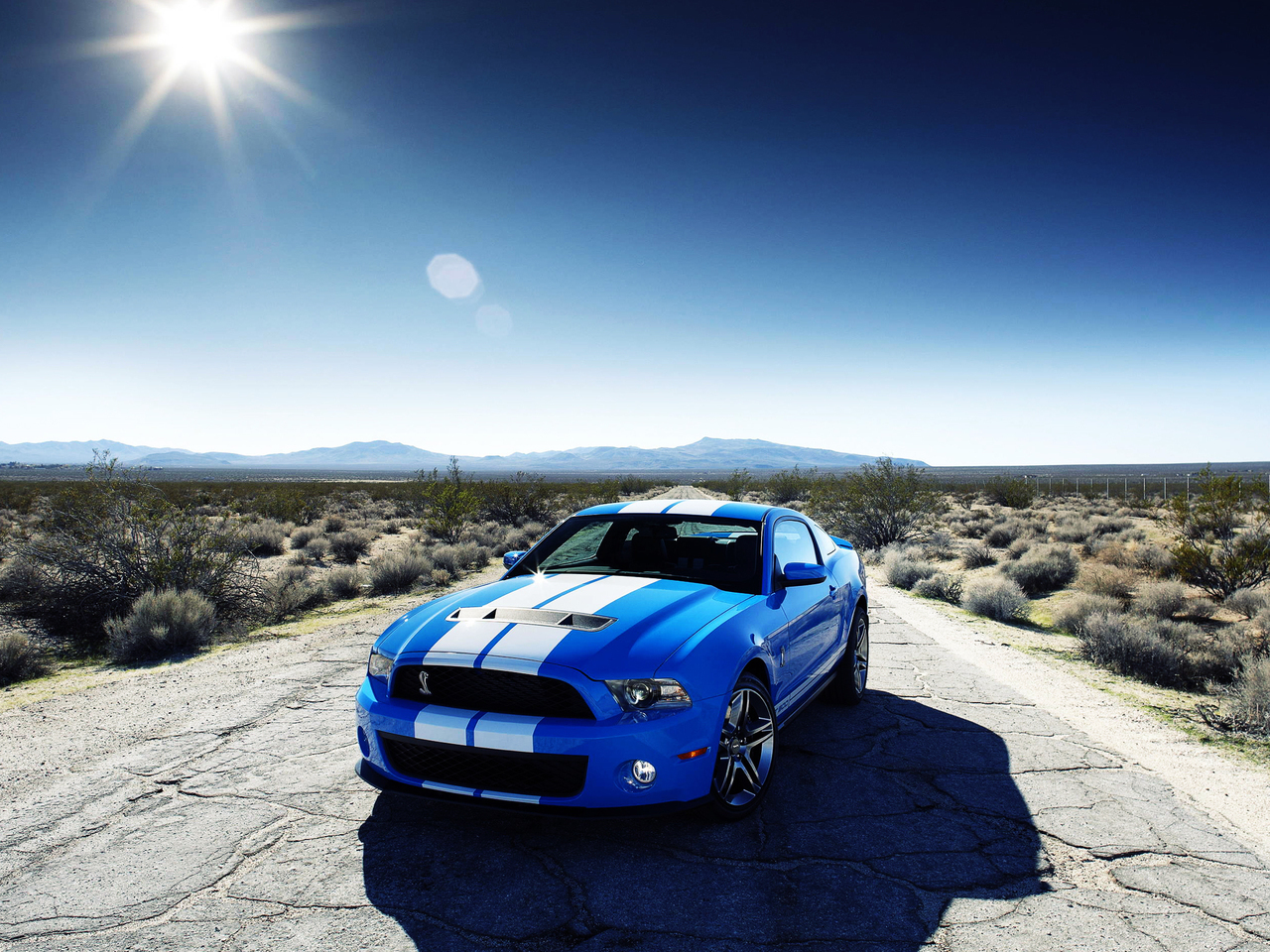 mustang, ford, auto, transport, blue