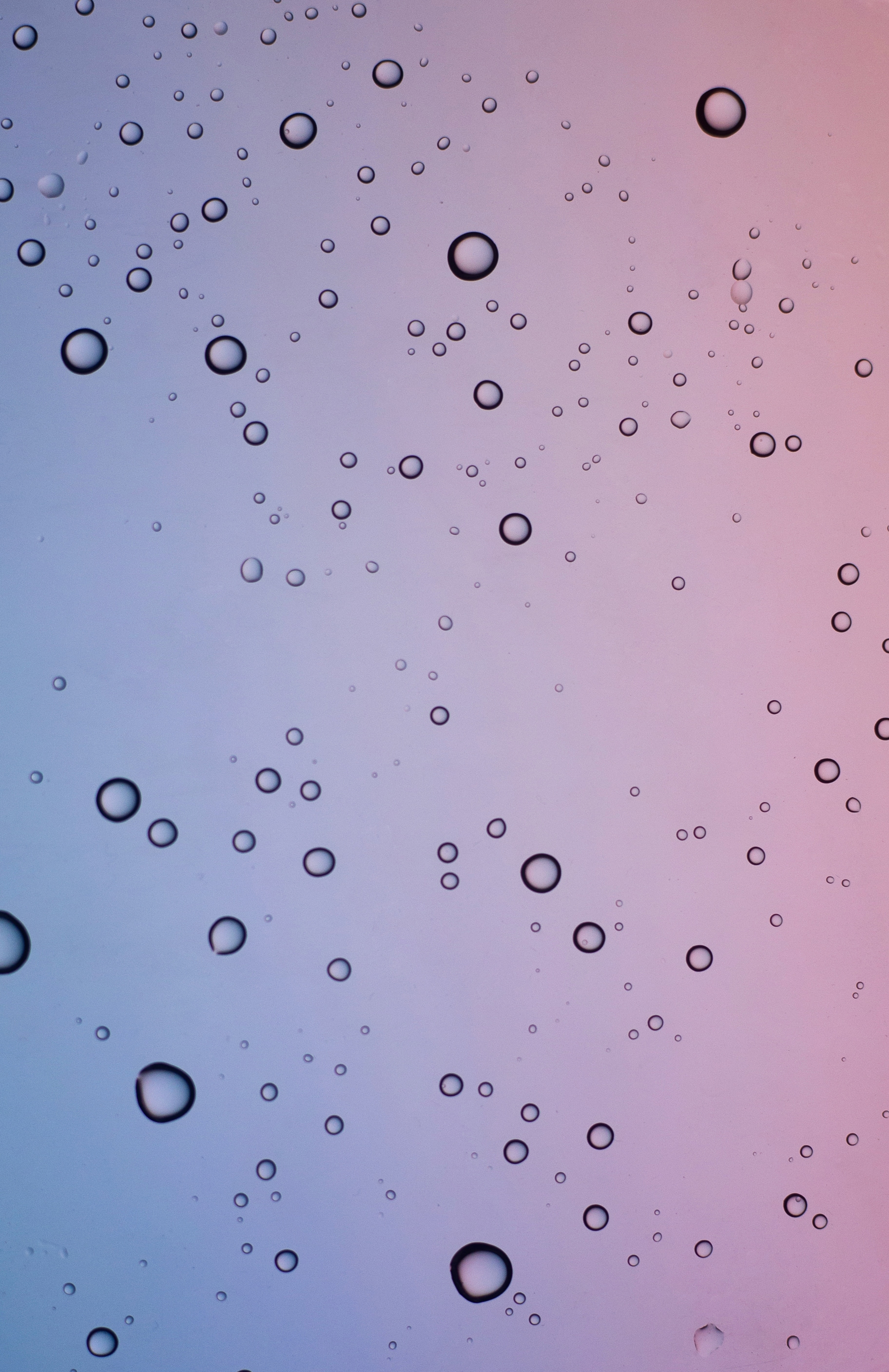 Free download wallpaper Water, Violet, Macro, Texture, Bubbles, Purple on your PC desktop