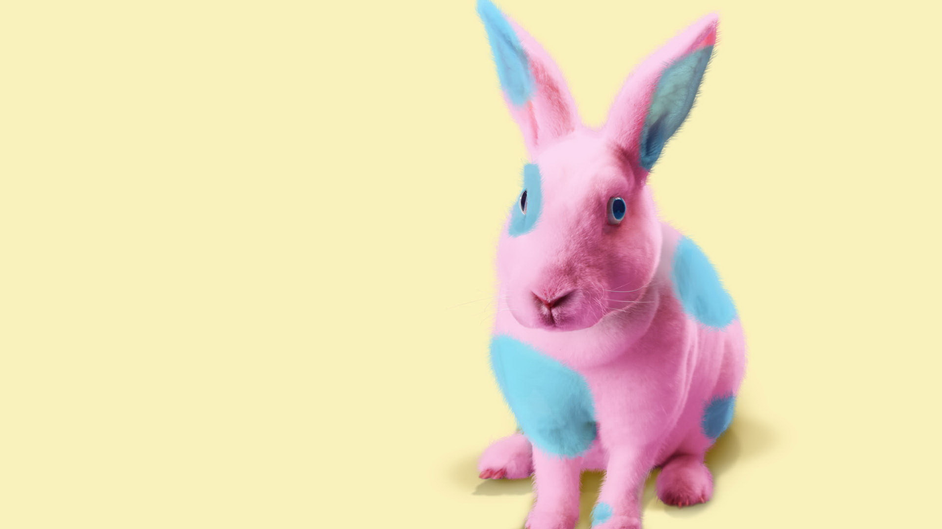 Laden Sie das Tiere, Kaninchen, Künstlerisch-Bild kostenlos auf Ihren PC-Desktop herunter