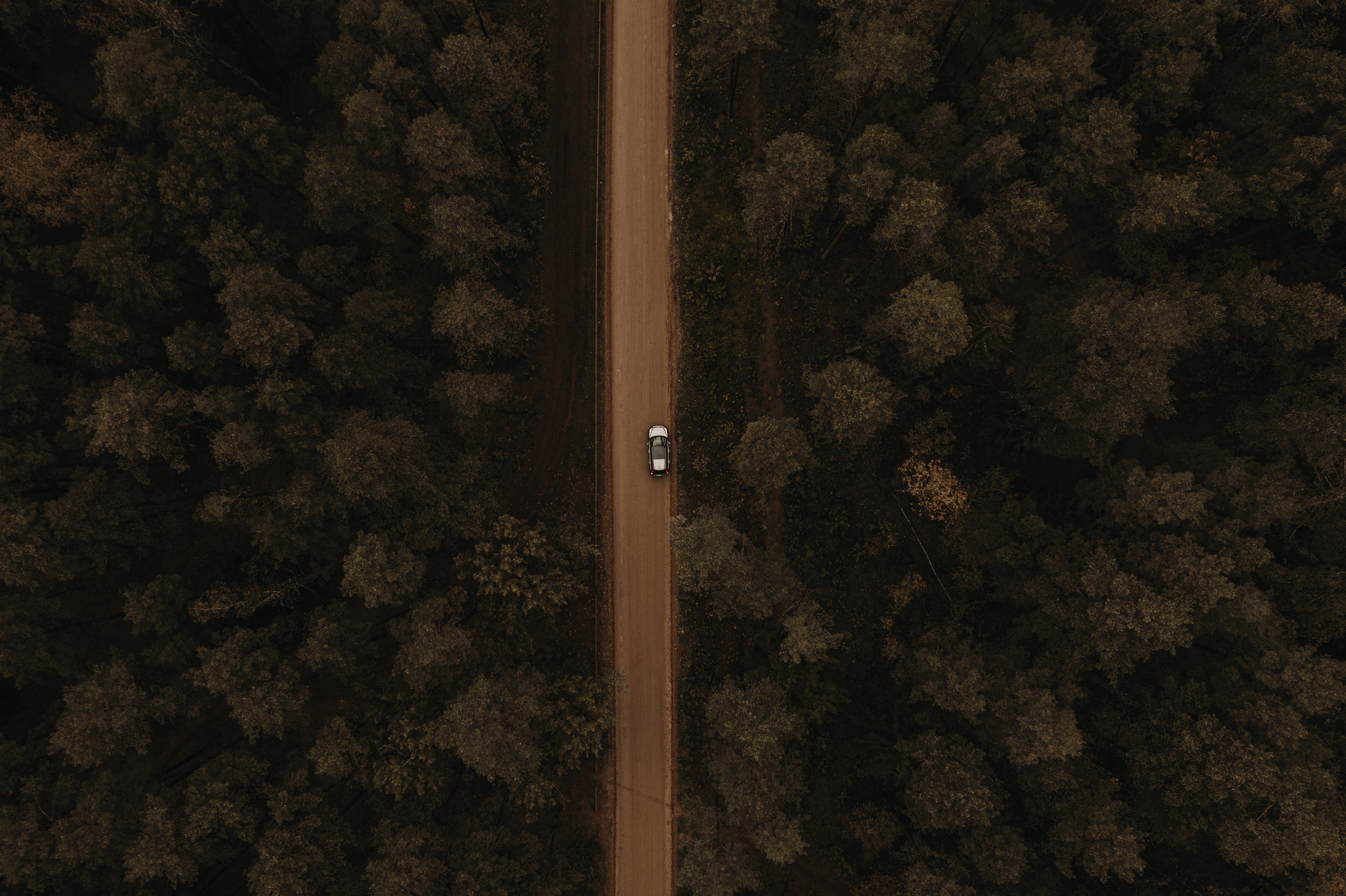 Download mobile wallpaper Car, Machine, Trees, View From Above, Forest, Nature, Road for free.