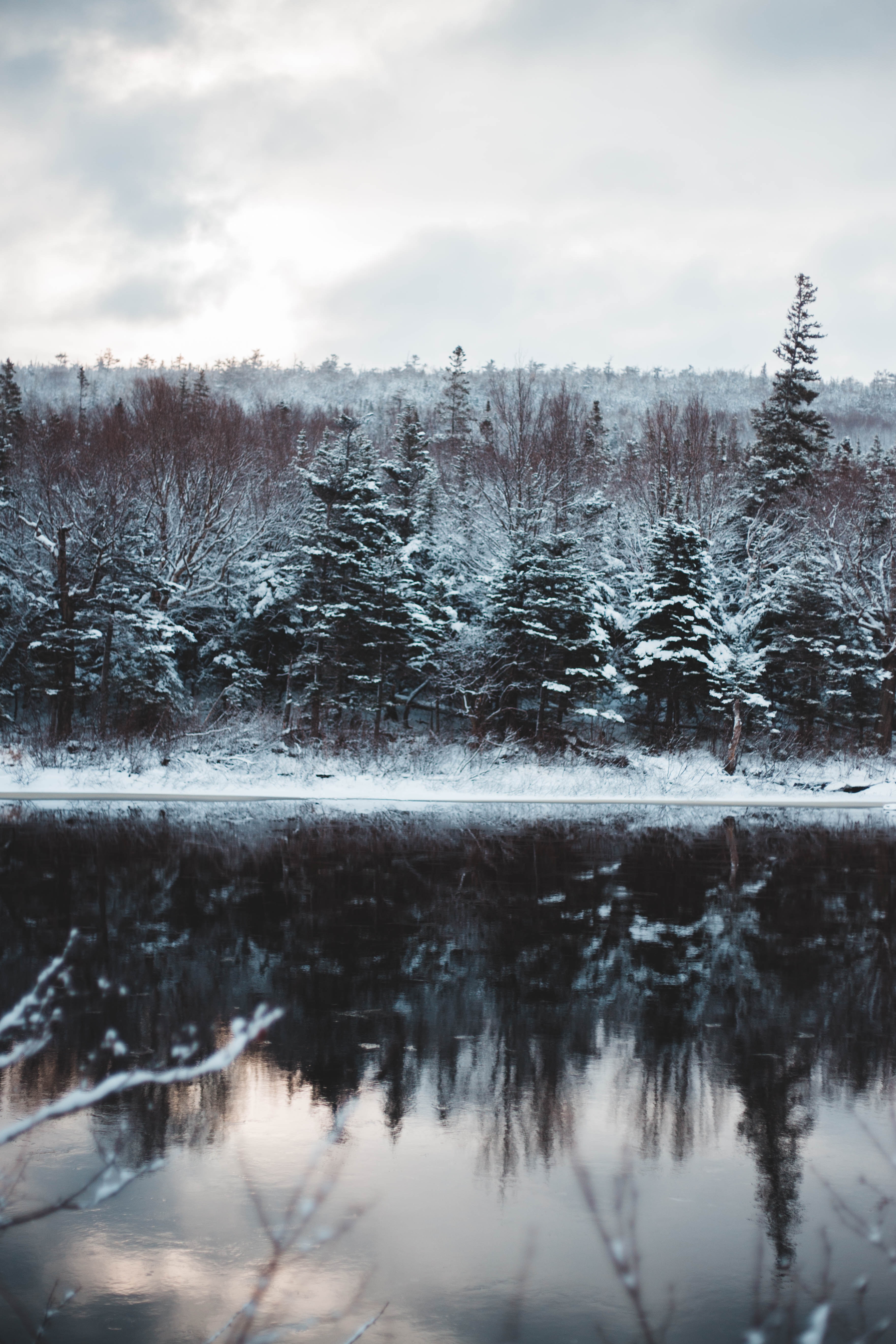 Download mobile wallpaper Snow, Rivers, Trees, Winter, Nature for free.