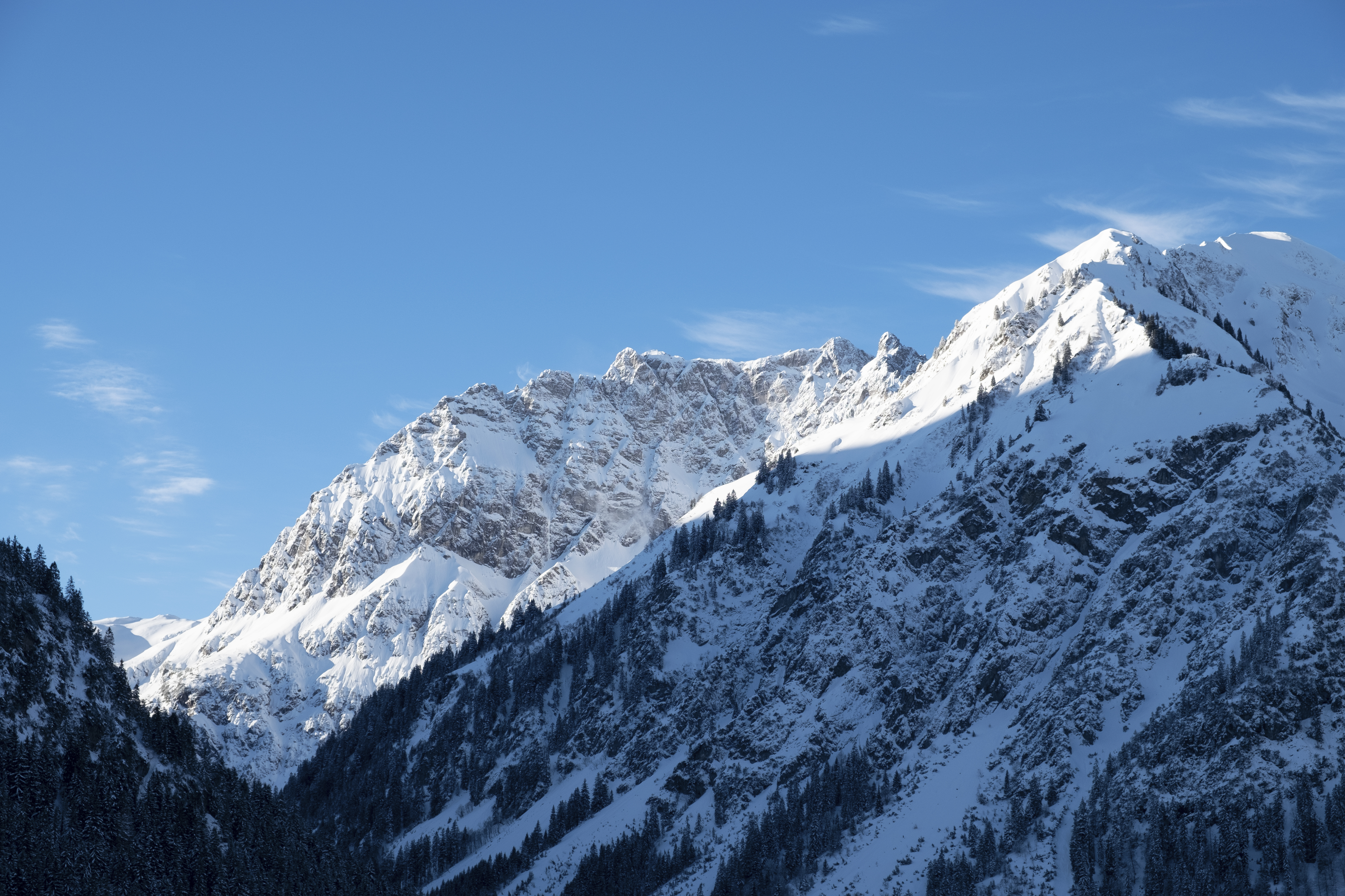 Descarga gratis la imagen Naturaleza, Árboles, Nieve, Montaña, Pendiente, Cuesta, Paisaje en el escritorio de tu PC