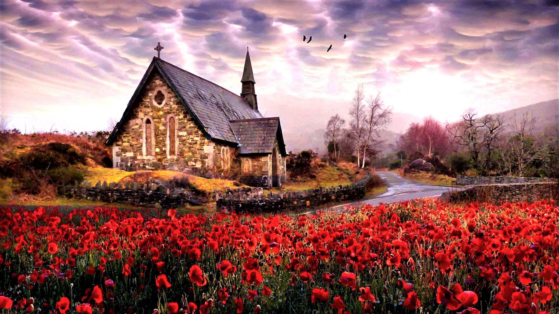 Download mobile wallpaper Stone, Spring, Church, Chapel, Poppy, Ireland, Religious for free.