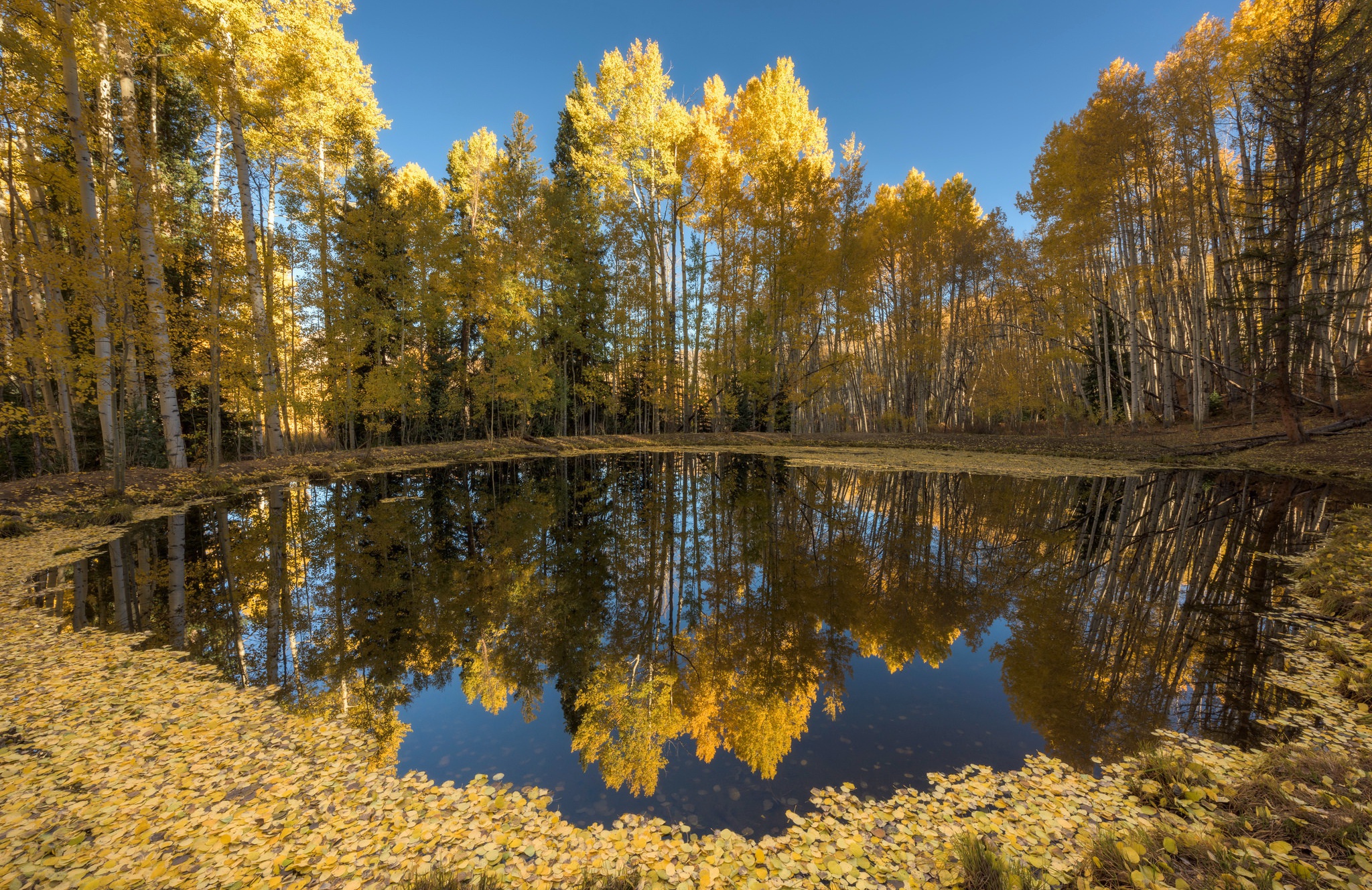 PCデスクトップに自然, 木, 秋, 湖, 反射, 地球画像を無料でダウンロード