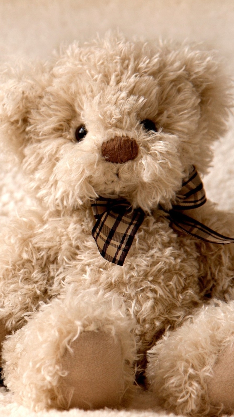 Handy-Wallpaper Teddybär, Bär, Menschengemacht, Kuscheltier, Tragen kostenlos herunterladen.