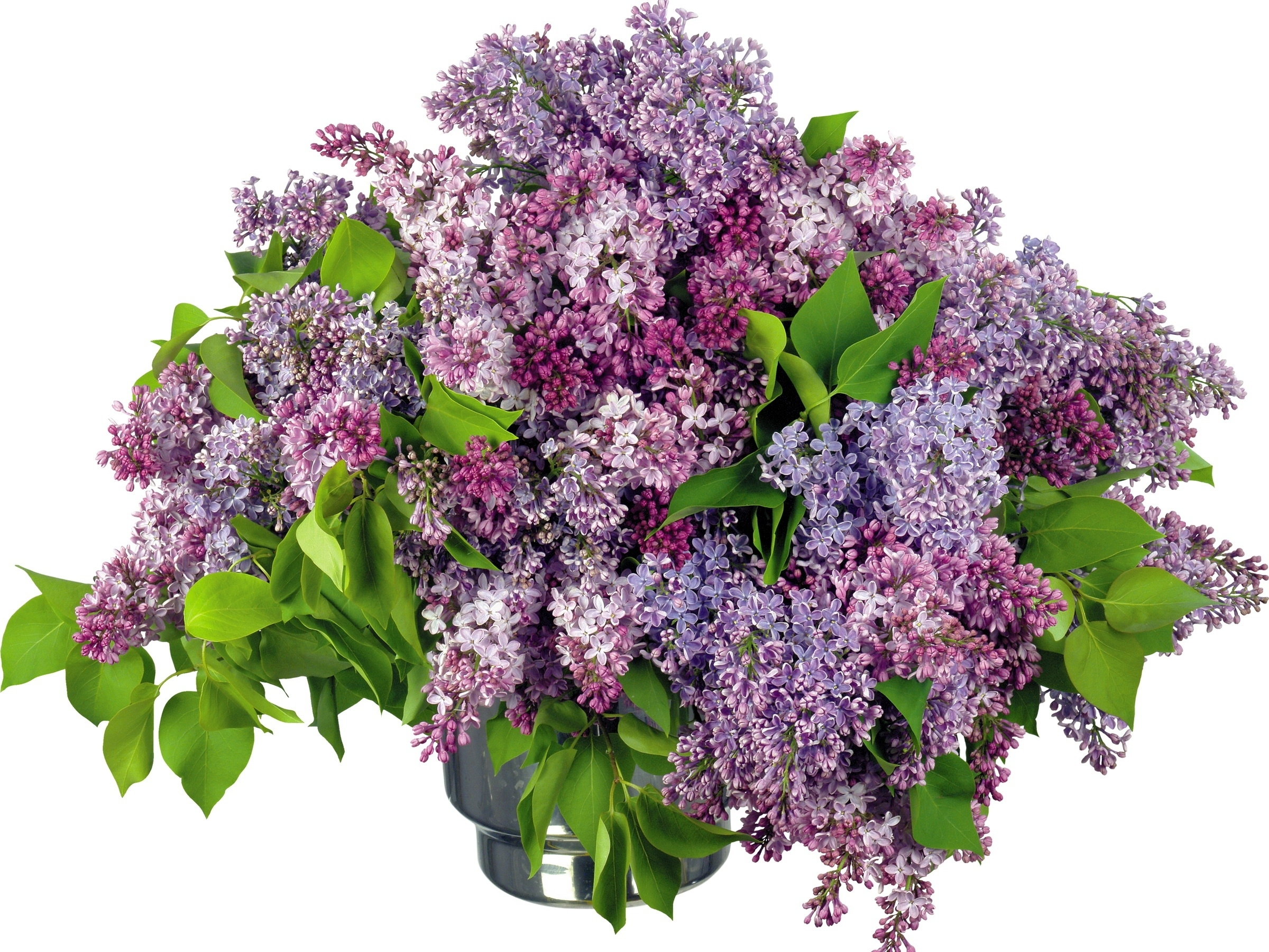 Download mobile wallpaper Lilac, Flower, Leaf, Vase, Purple Flower, Man Made for free.