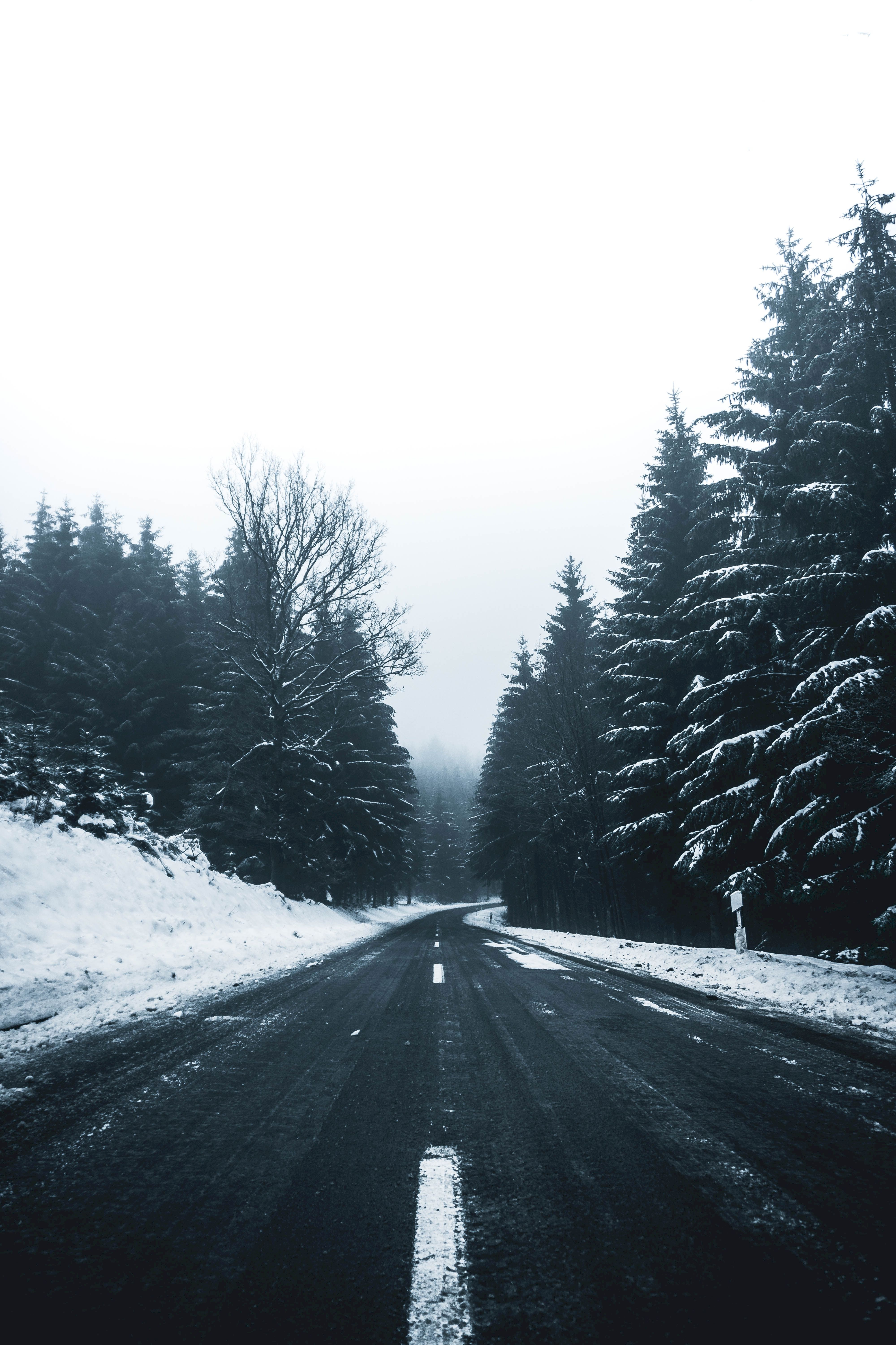 winter, nature, trees, snow, road, turn, markup desktop HD wallpaper