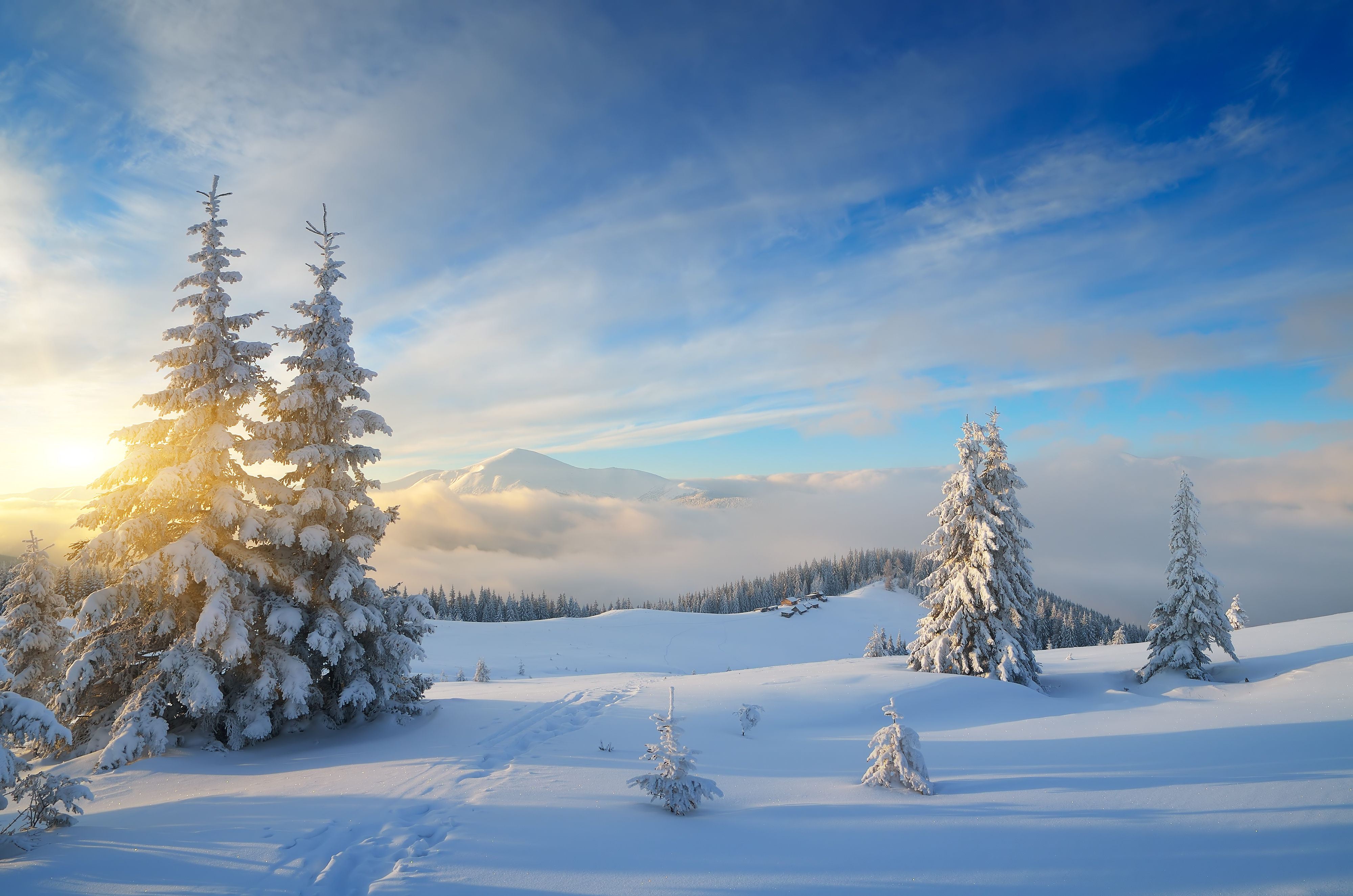 Handy-Wallpaper Landschaft, Winter, Natur, Schnee, Baum, Himmel, Erde/natur kostenlos herunterladen.