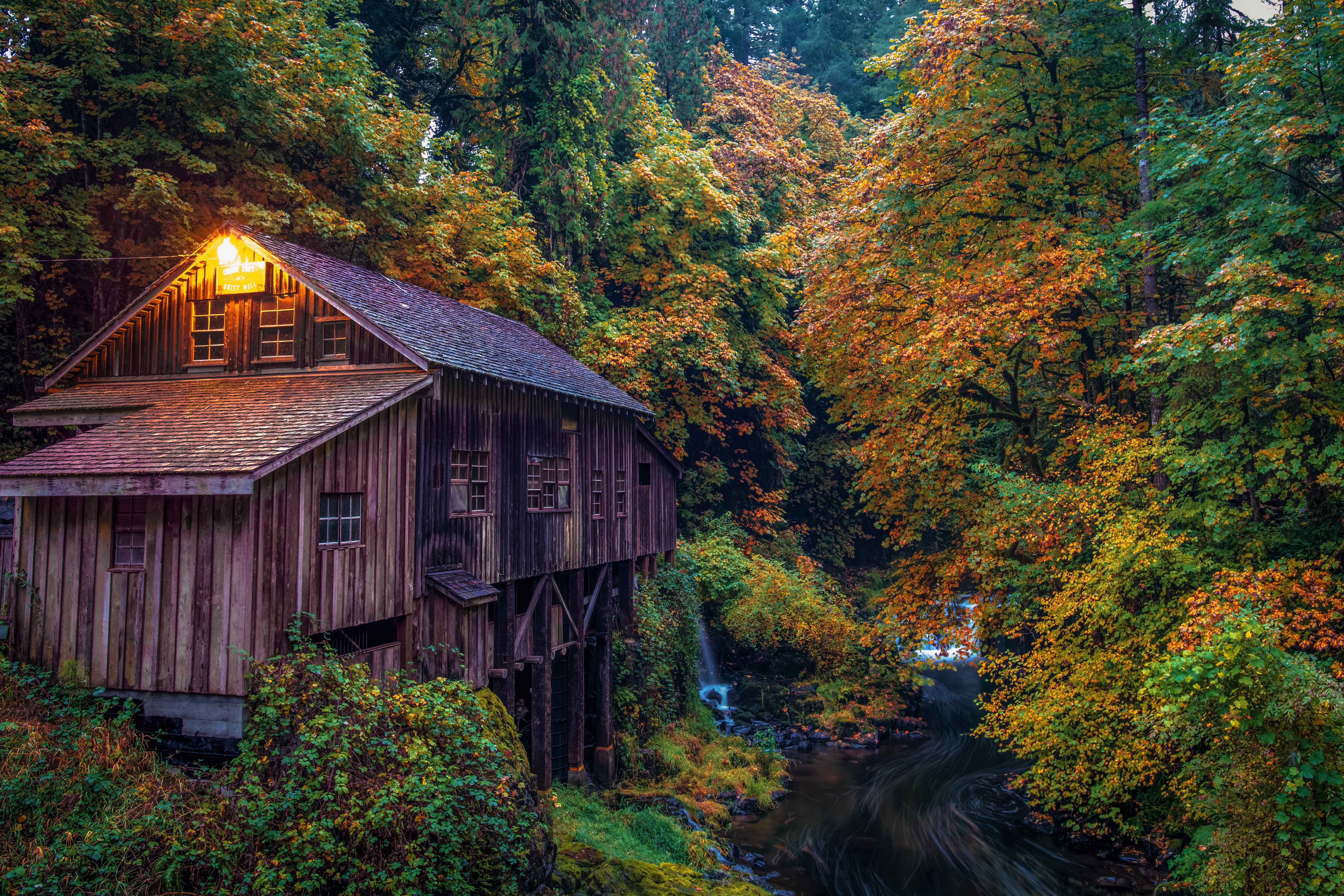 man made, watermill, fall, forest