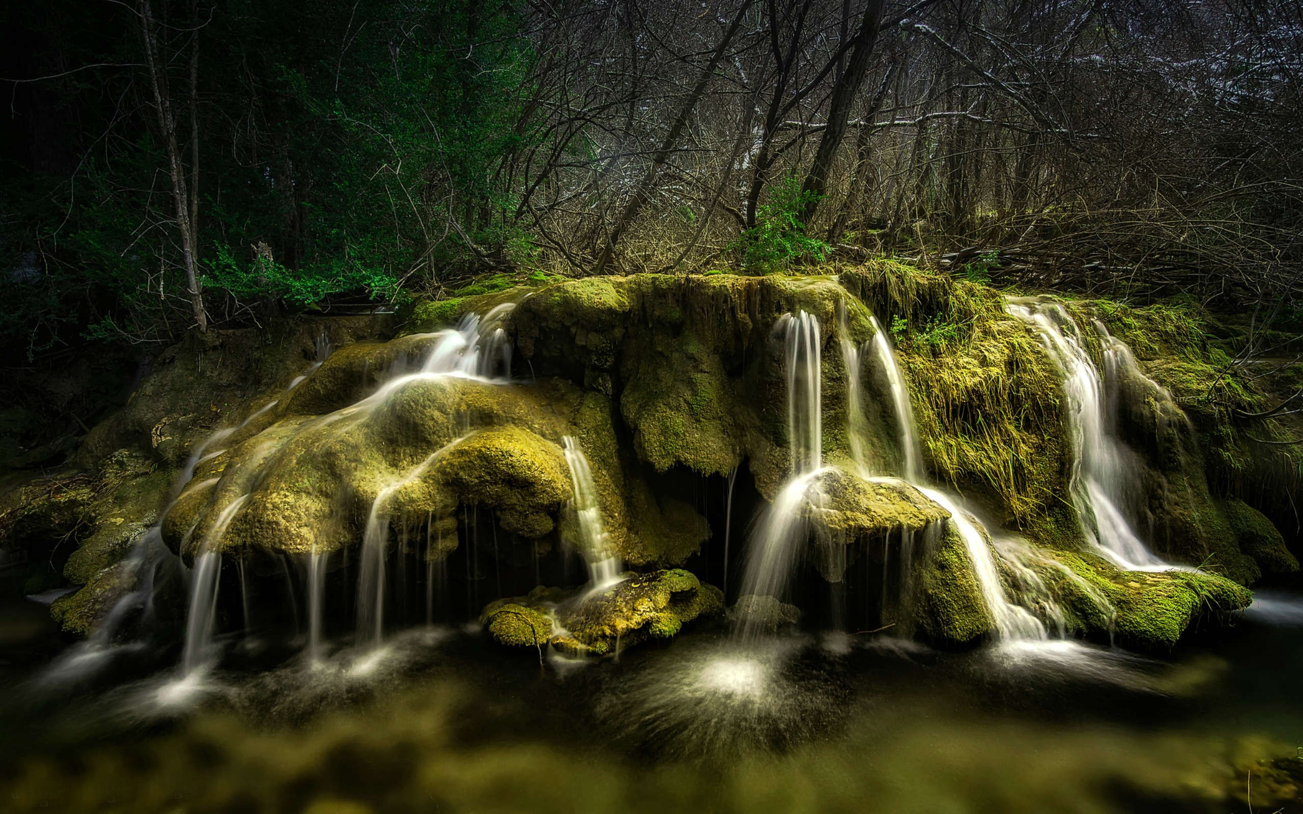 Handy-Wallpaper Wasserfälle, Wasserfall, Wald, Baum, Moos, Erde/natur kostenlos herunterladen.