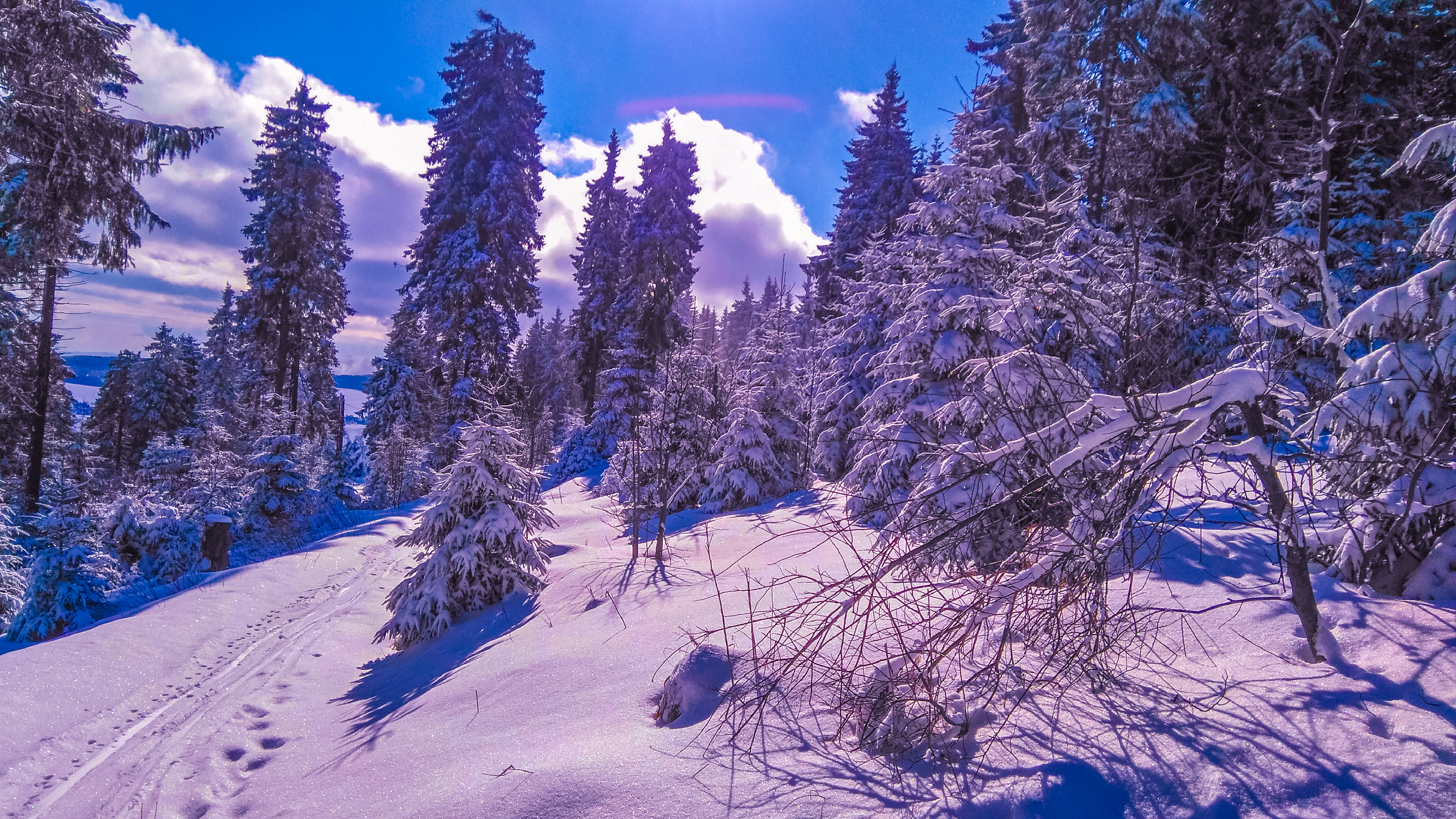 Free download wallpaper Winter, Snow, Forest, Tree, Earth on your PC desktop