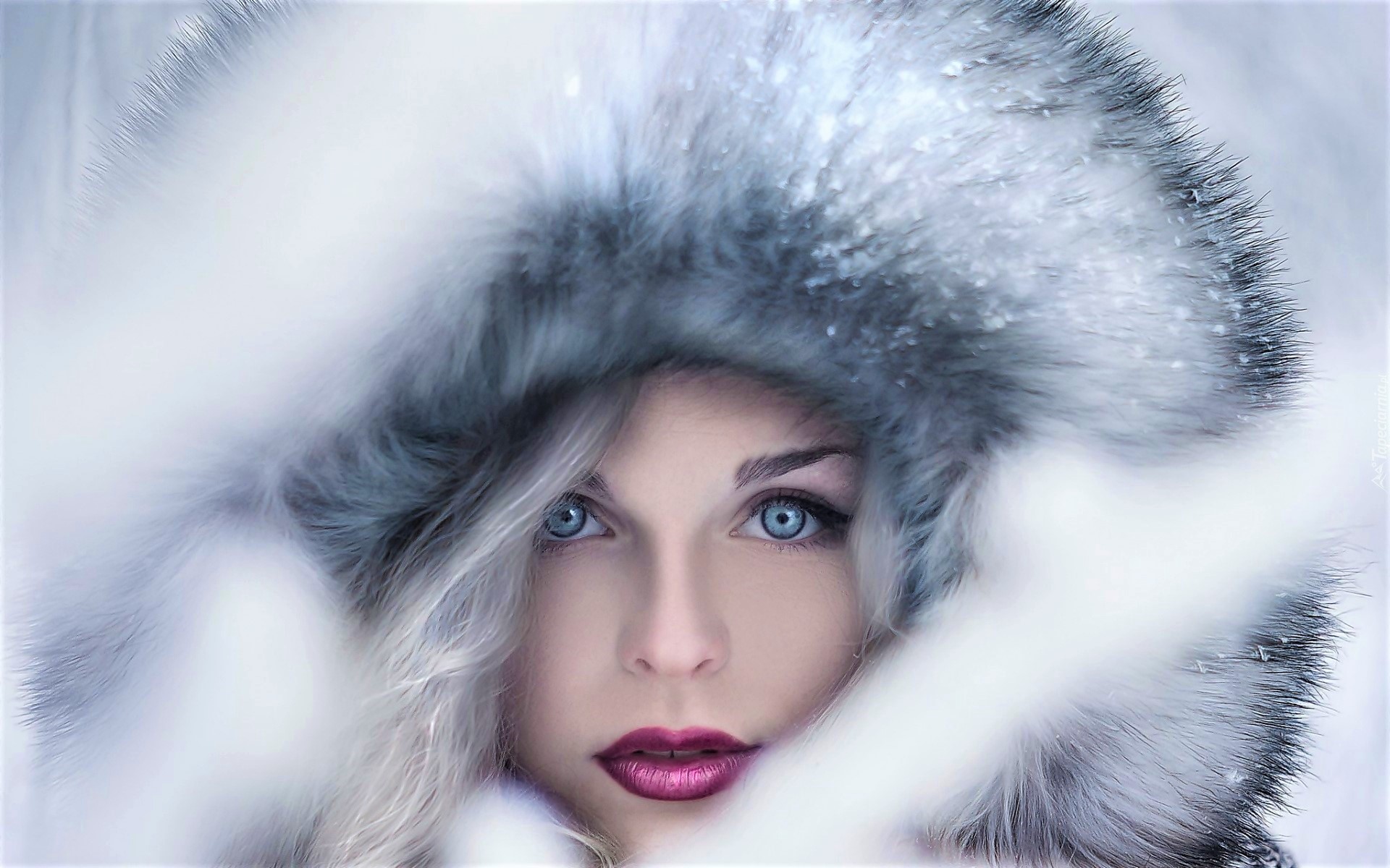 Download mobile wallpaper Winter, Face, Hood, Fur, Model, Women, Blue Eyes, Lipstick for free.
