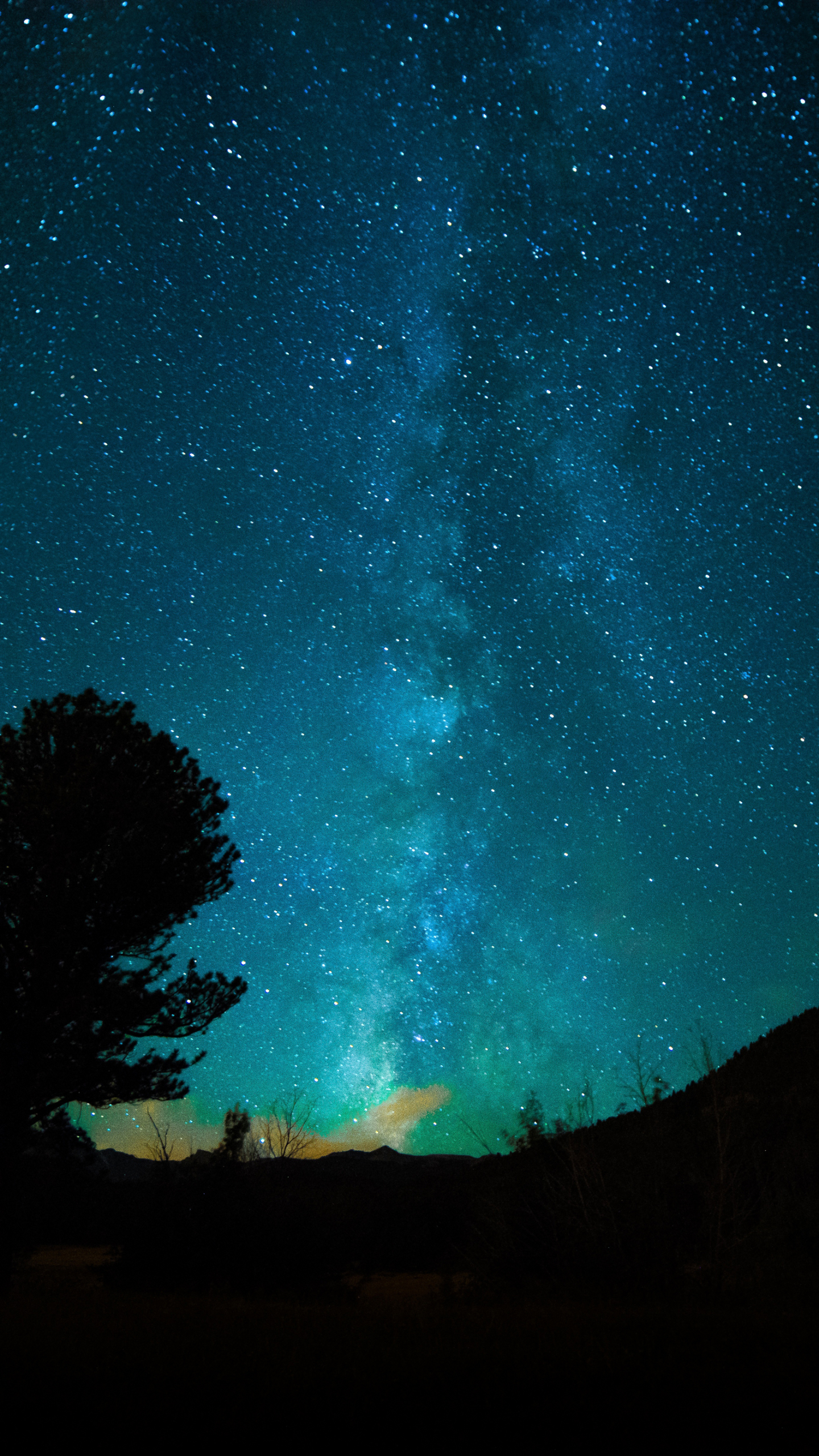 Download mobile wallpaper Nature, Stars, Night, Silhouette, Starry Sky, Milky Way, Sci Fi for free.