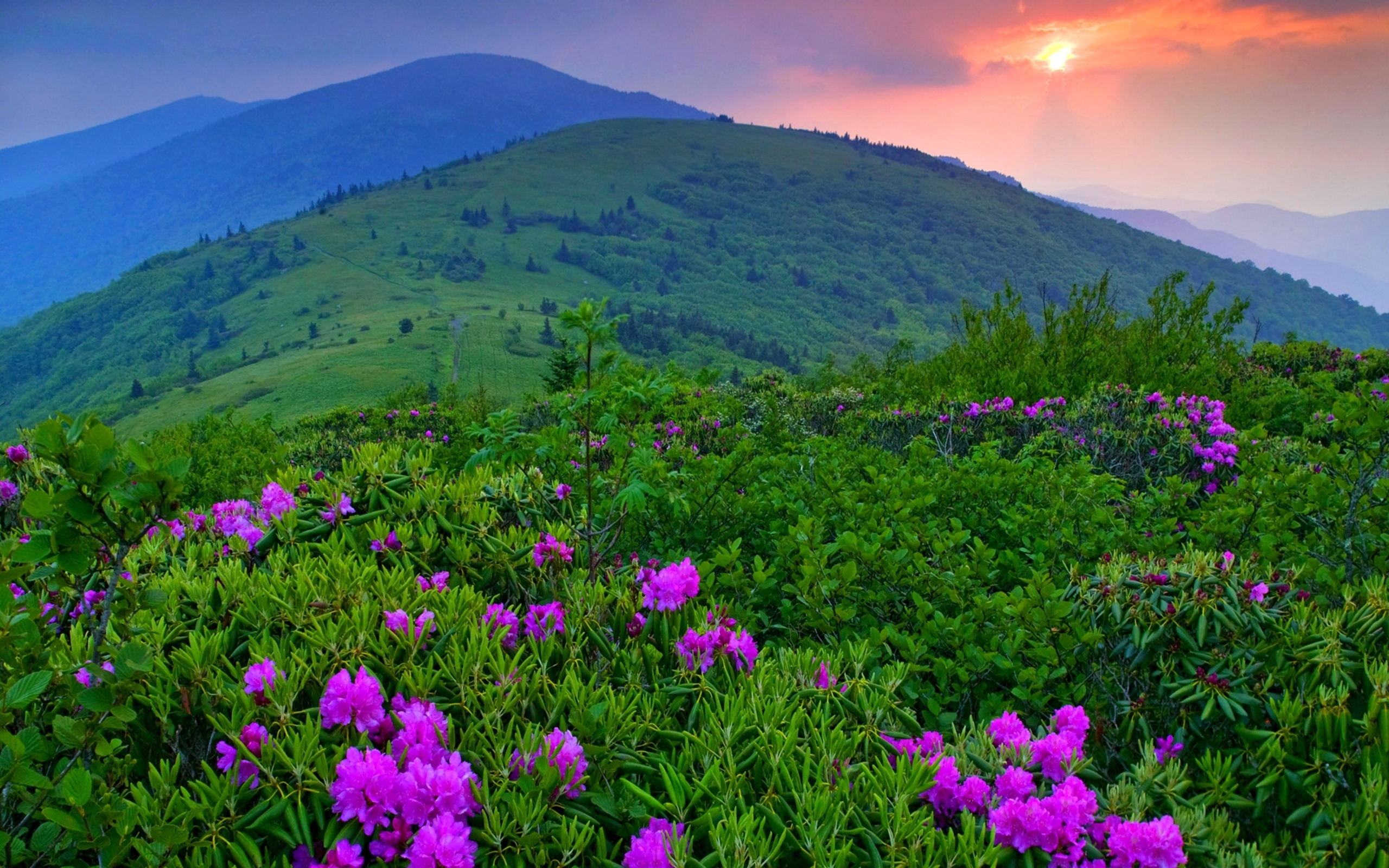 Завантажити шпалери безкоштовно Hdr, Фотографія картинка на робочий стіл ПК