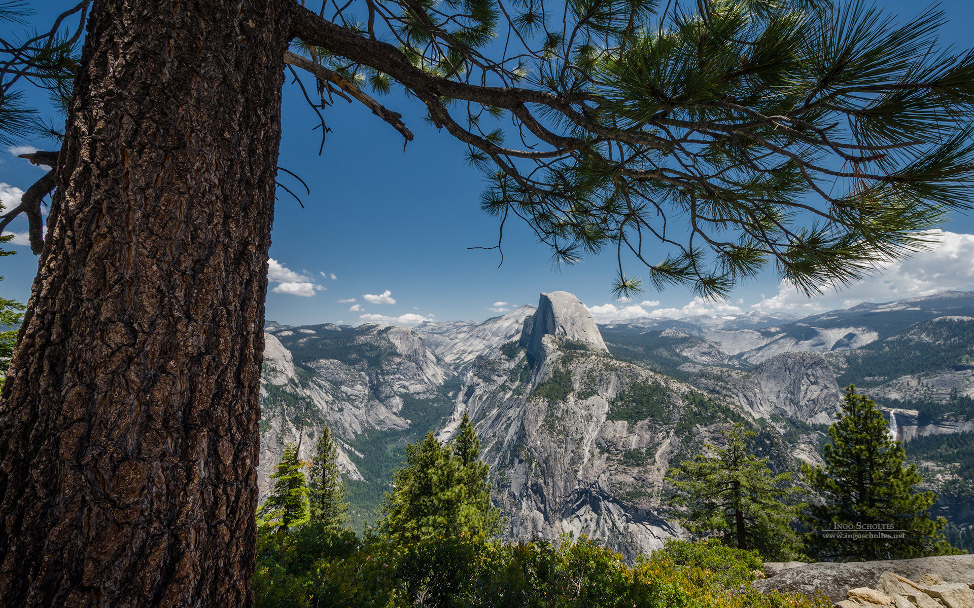 Скачать обои бесплатно Гора, Дерево, Долина, Национальный Парк, Йосемитский Национальный Парк, Земля/природа картинка на рабочий стол ПК