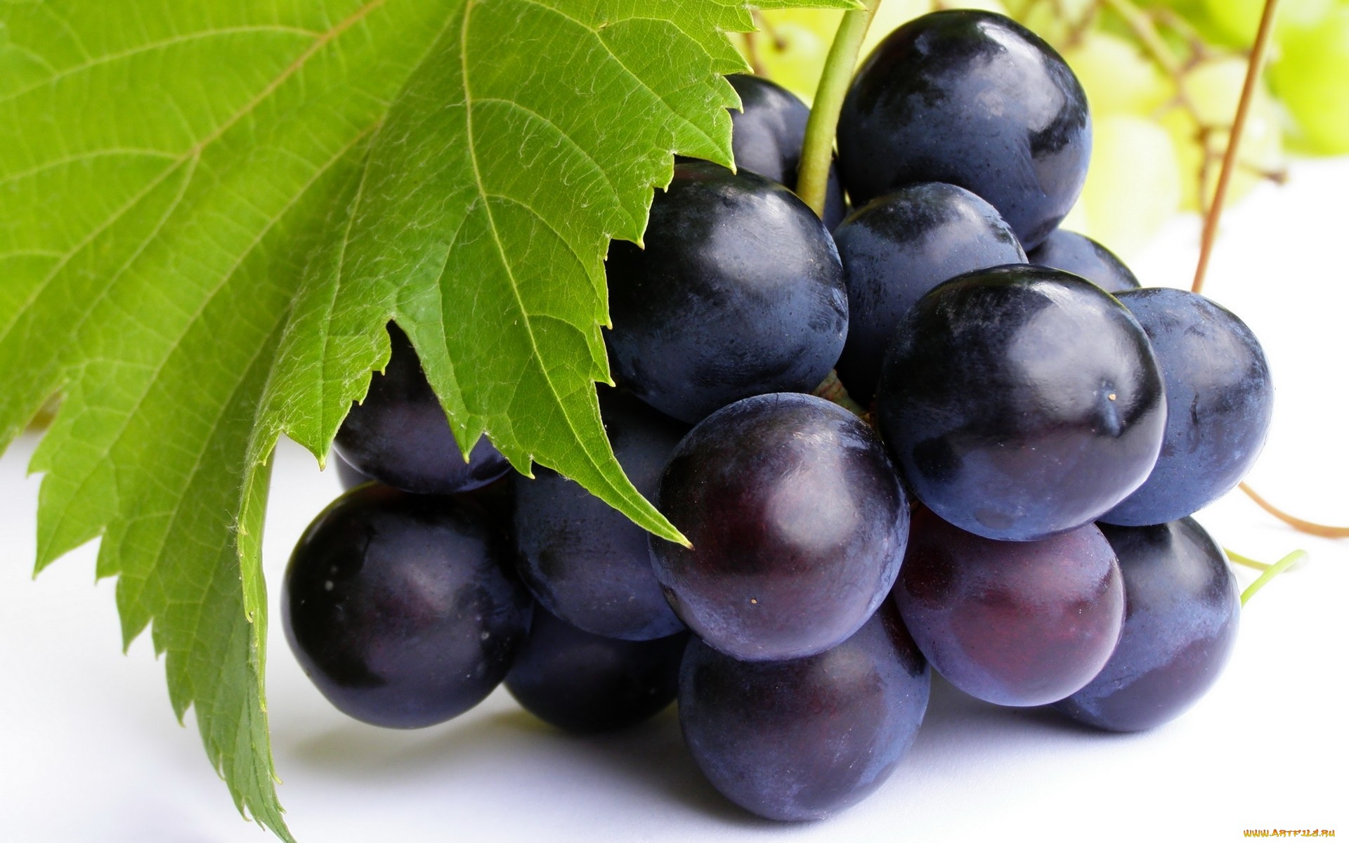 Download mobile wallpaper Food, Grapes for free.