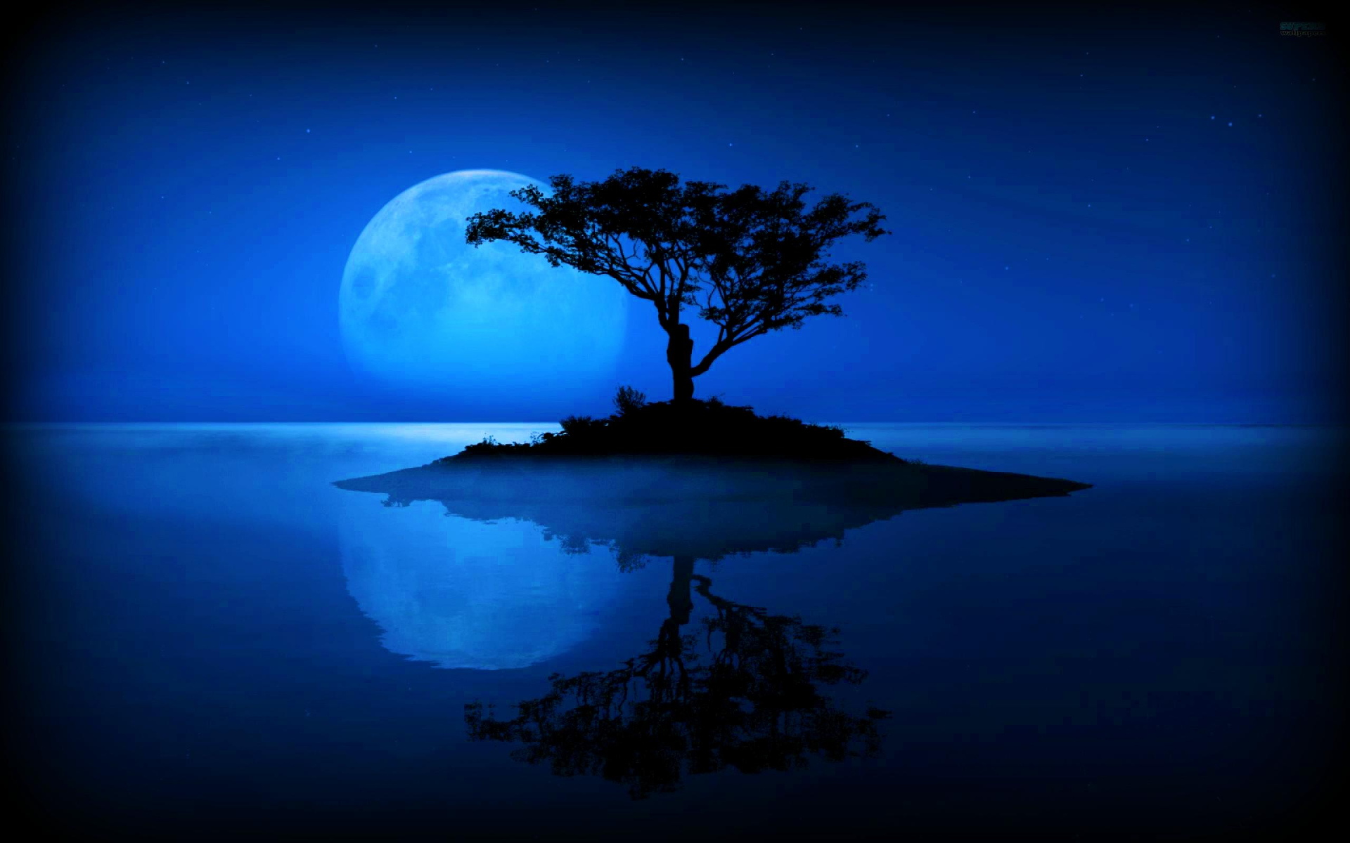 PCデスクトップに木, シルエット, 青い, 月, 芸術的, 夜画像を無料でダウンロード