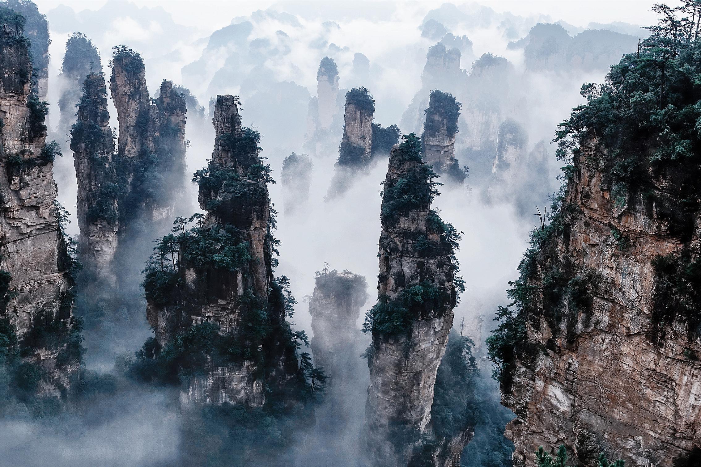 386961 завантажити картинку китай, туман, національний лісовий парк чжанцзяцзе, земля, скеля, пейзаж, дерево, національний парк - шпалери і заставки безкоштовно