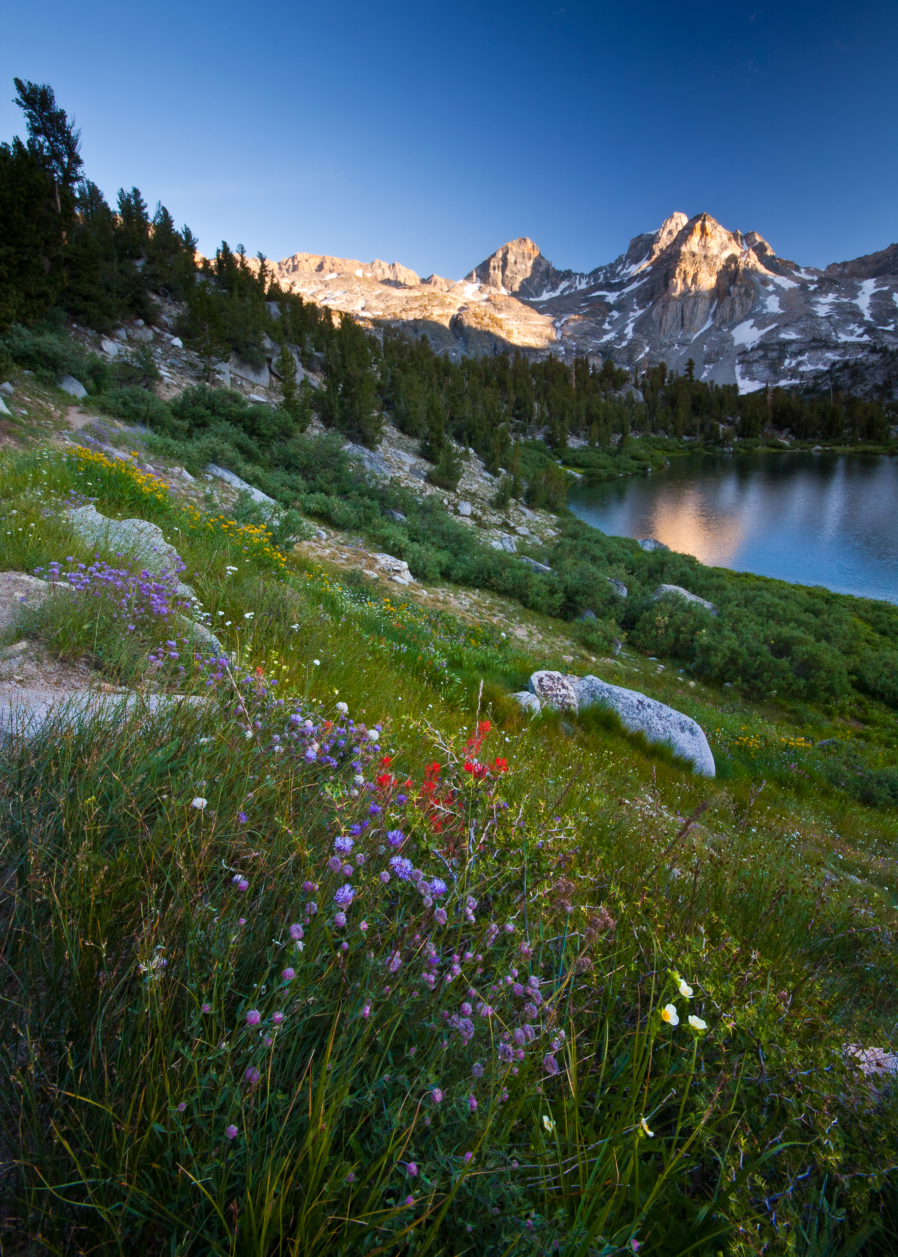 lake, landscape, nature, flowers, grass, mountains, valley images