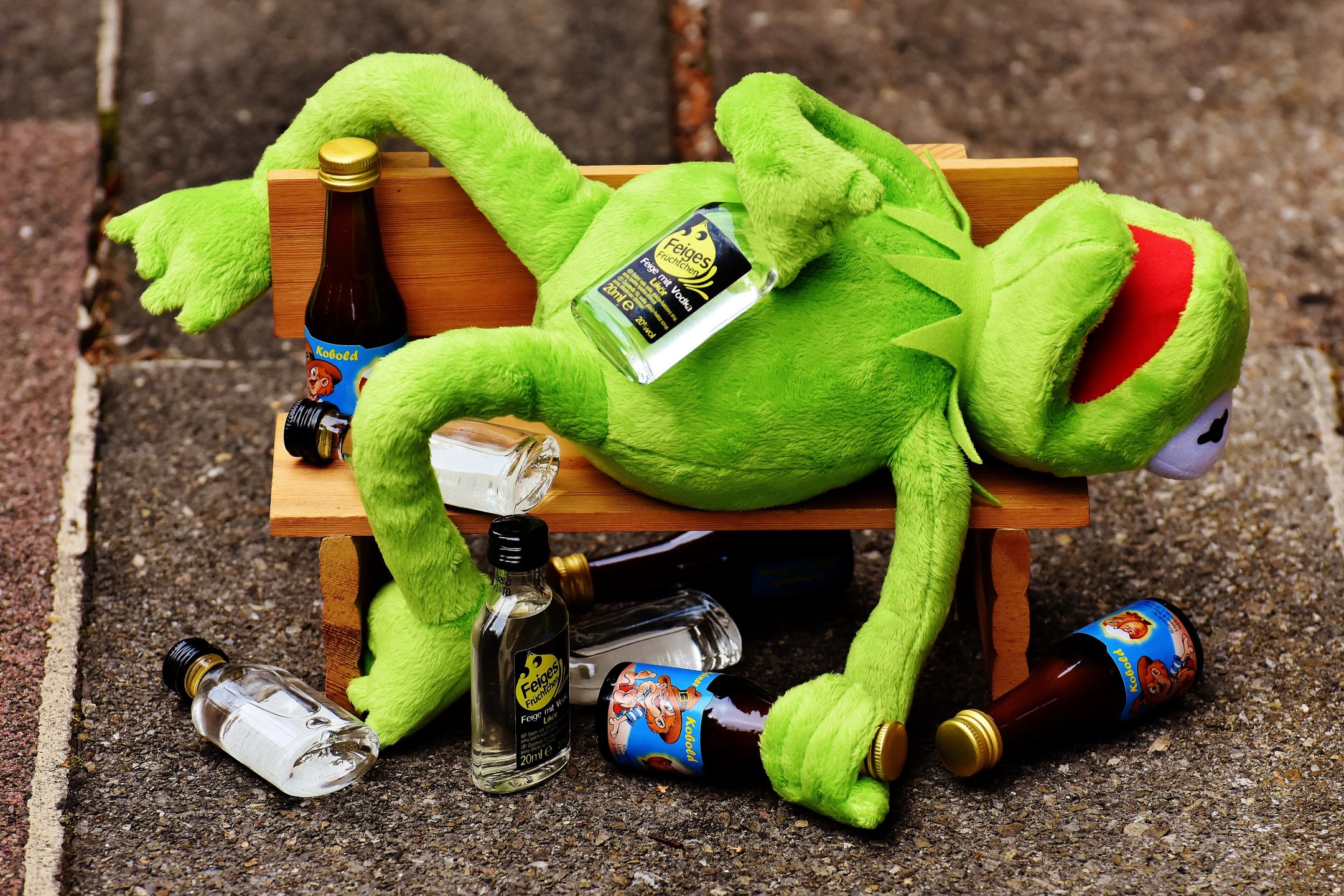 Download mobile wallpaper Frog, Humor, Alcohol for free.